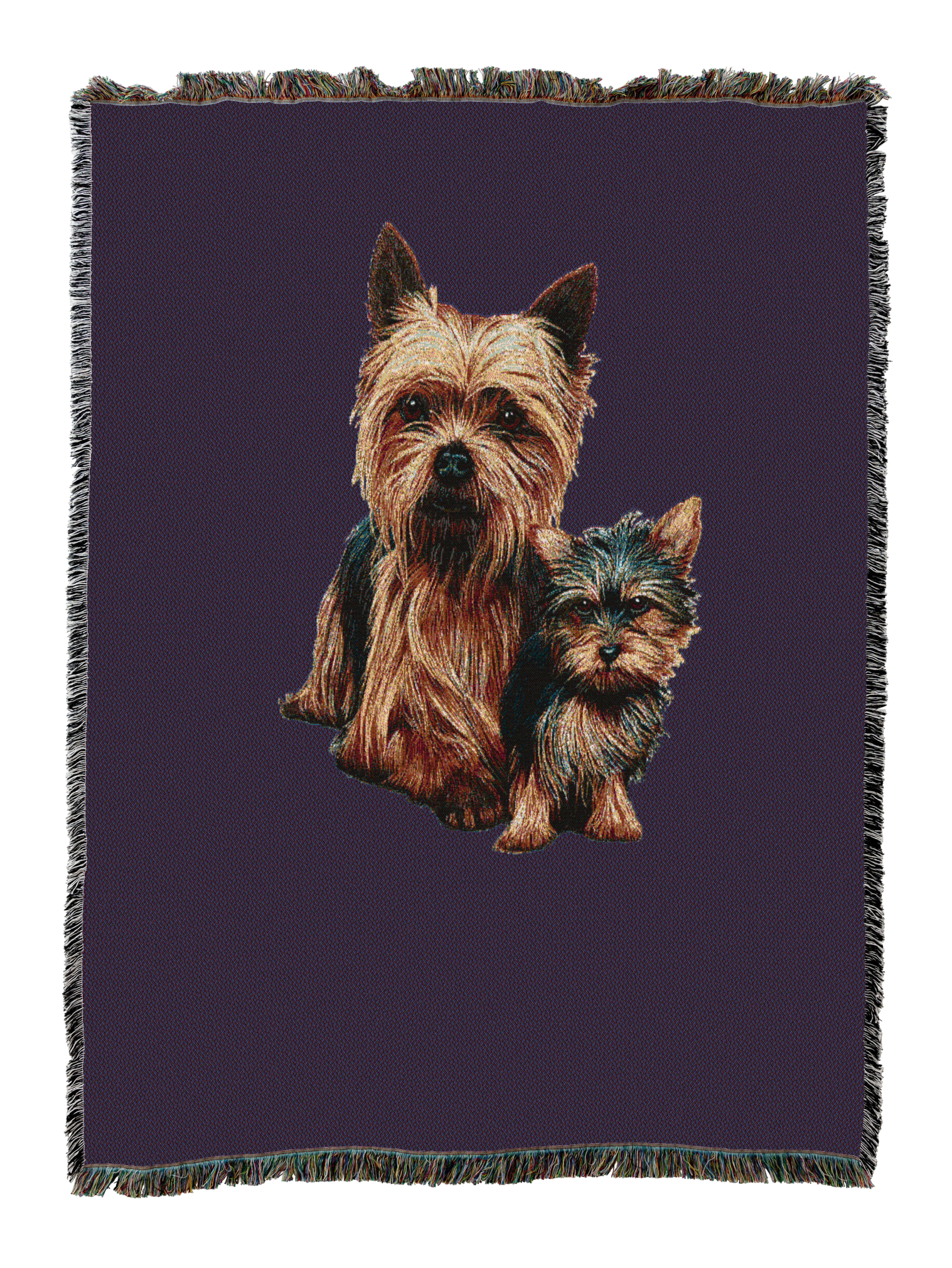 Yorkshire Terrier With Puppy Blanket