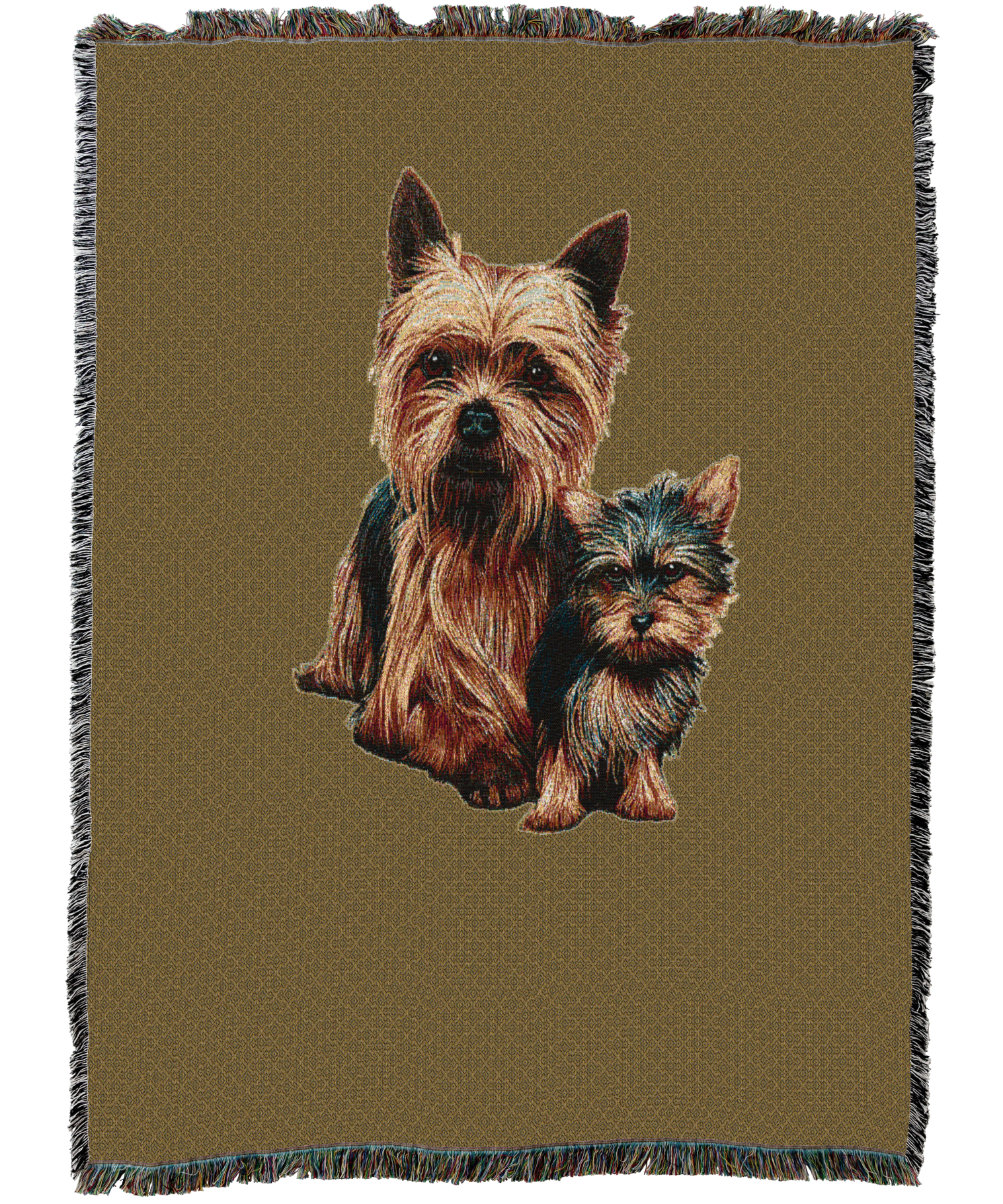Yorkshire Terrier with Puppy Blanket Sand