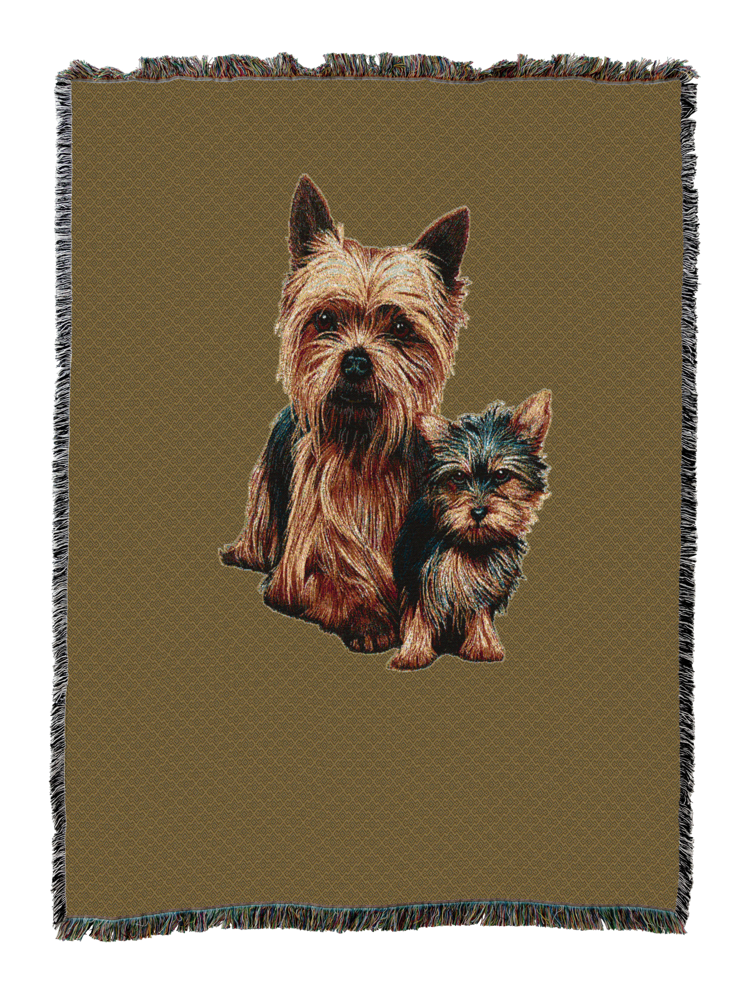 Yorkshire Terrier with Puppy Blanket Sand