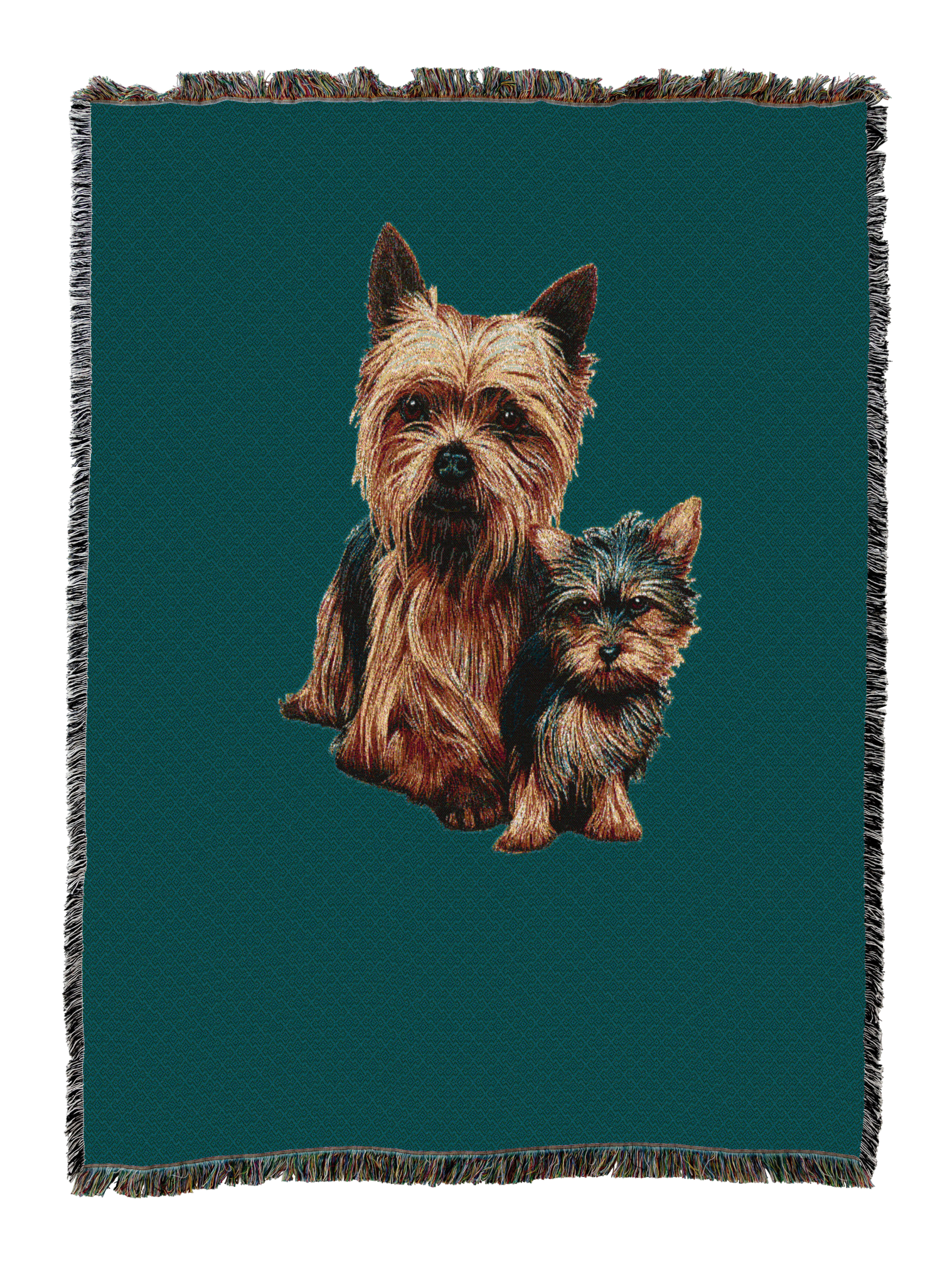 Yorkshire Terrier With Puppy Blanket