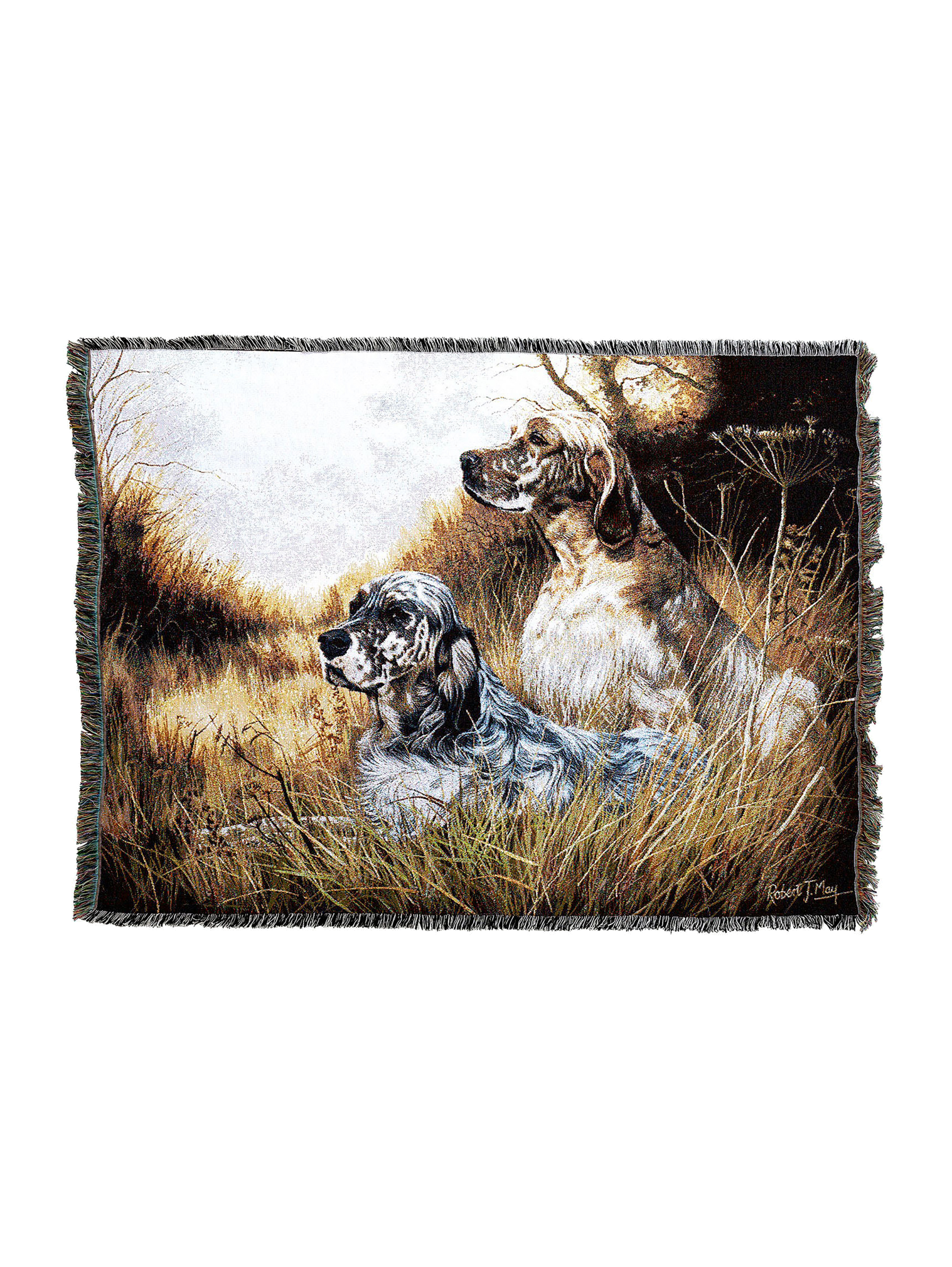 English Setter Blanket A