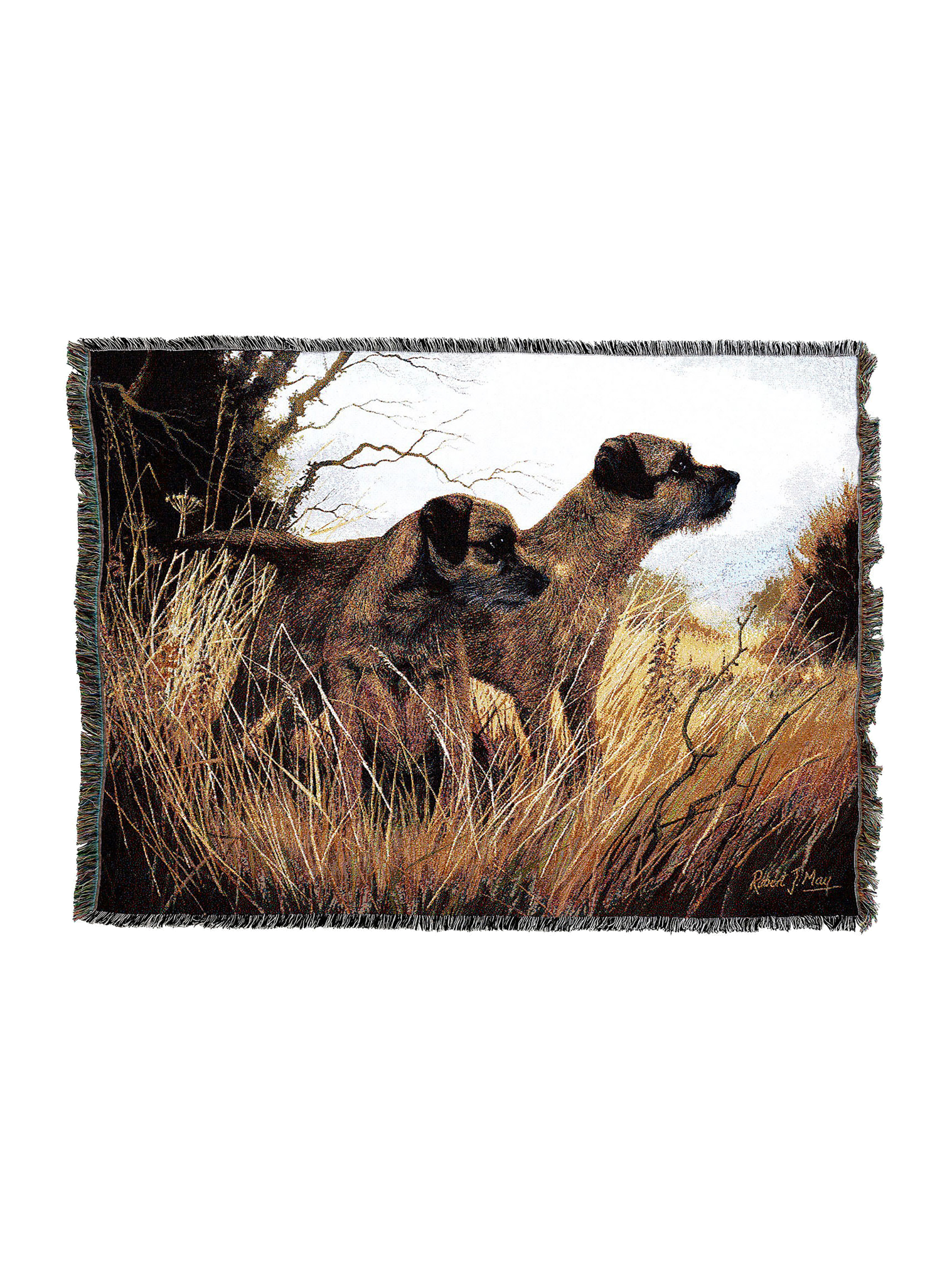 Border Terrier Blanket