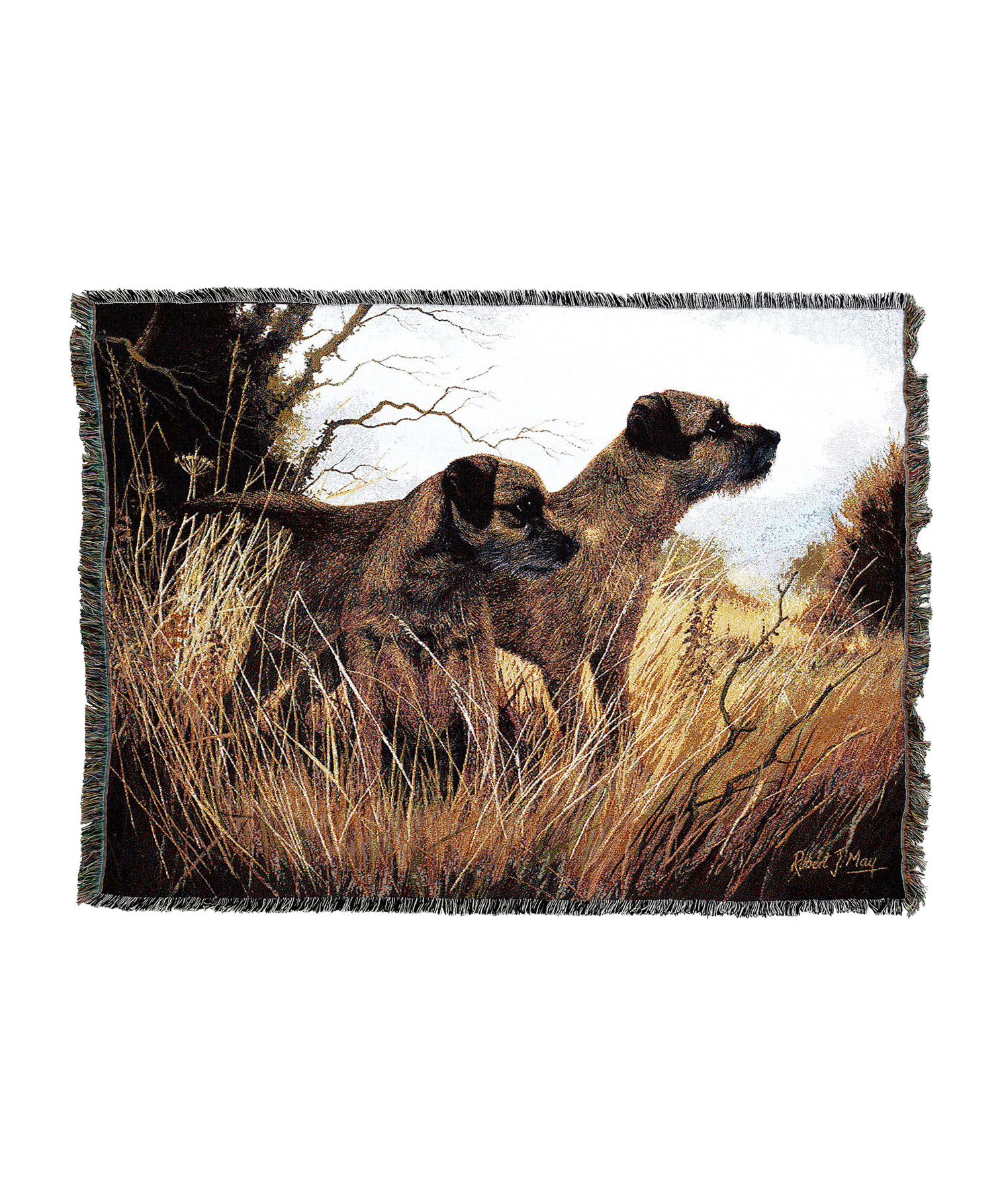 Border Terrier Blanket