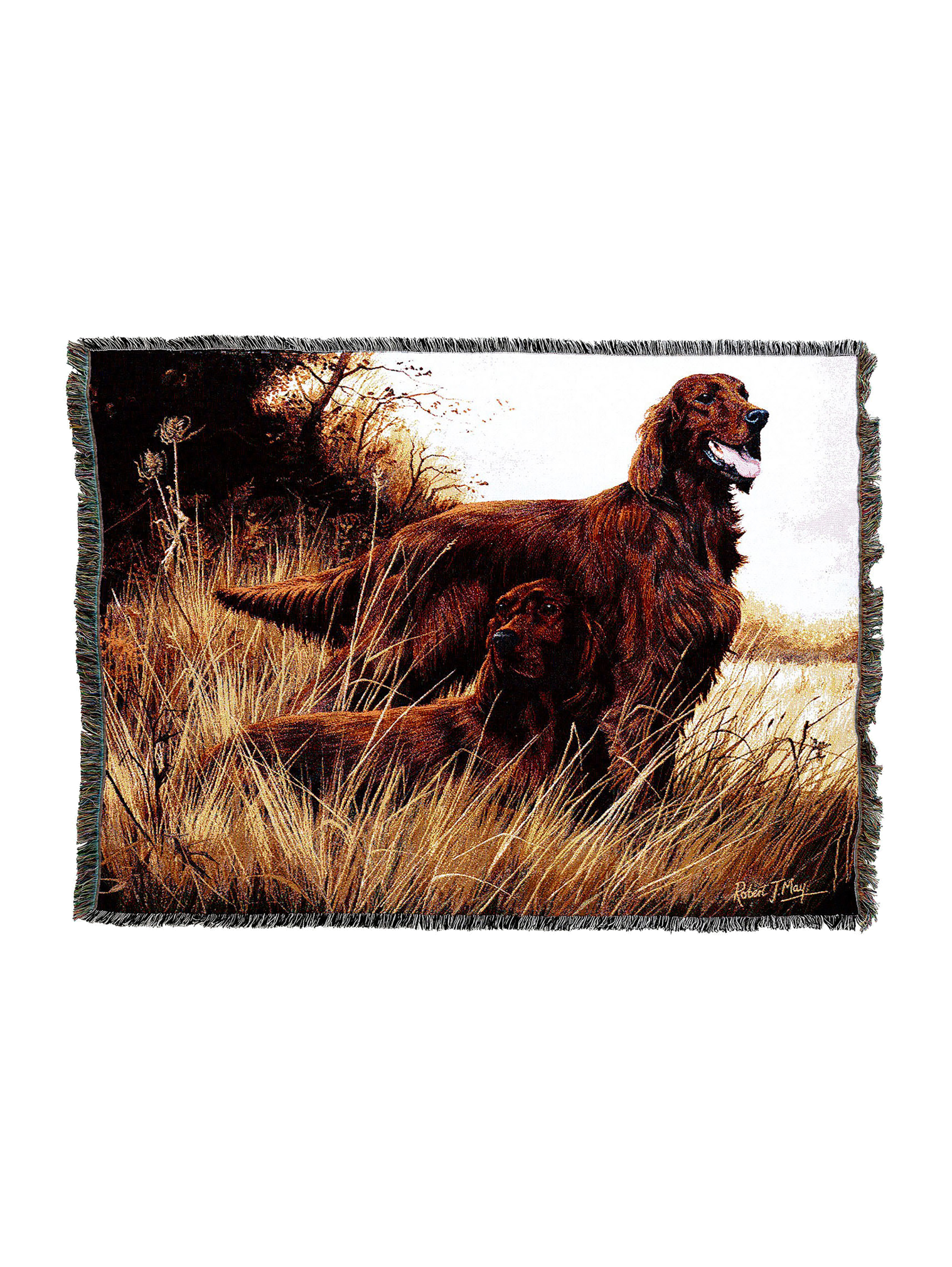 Irish Setter Blanket