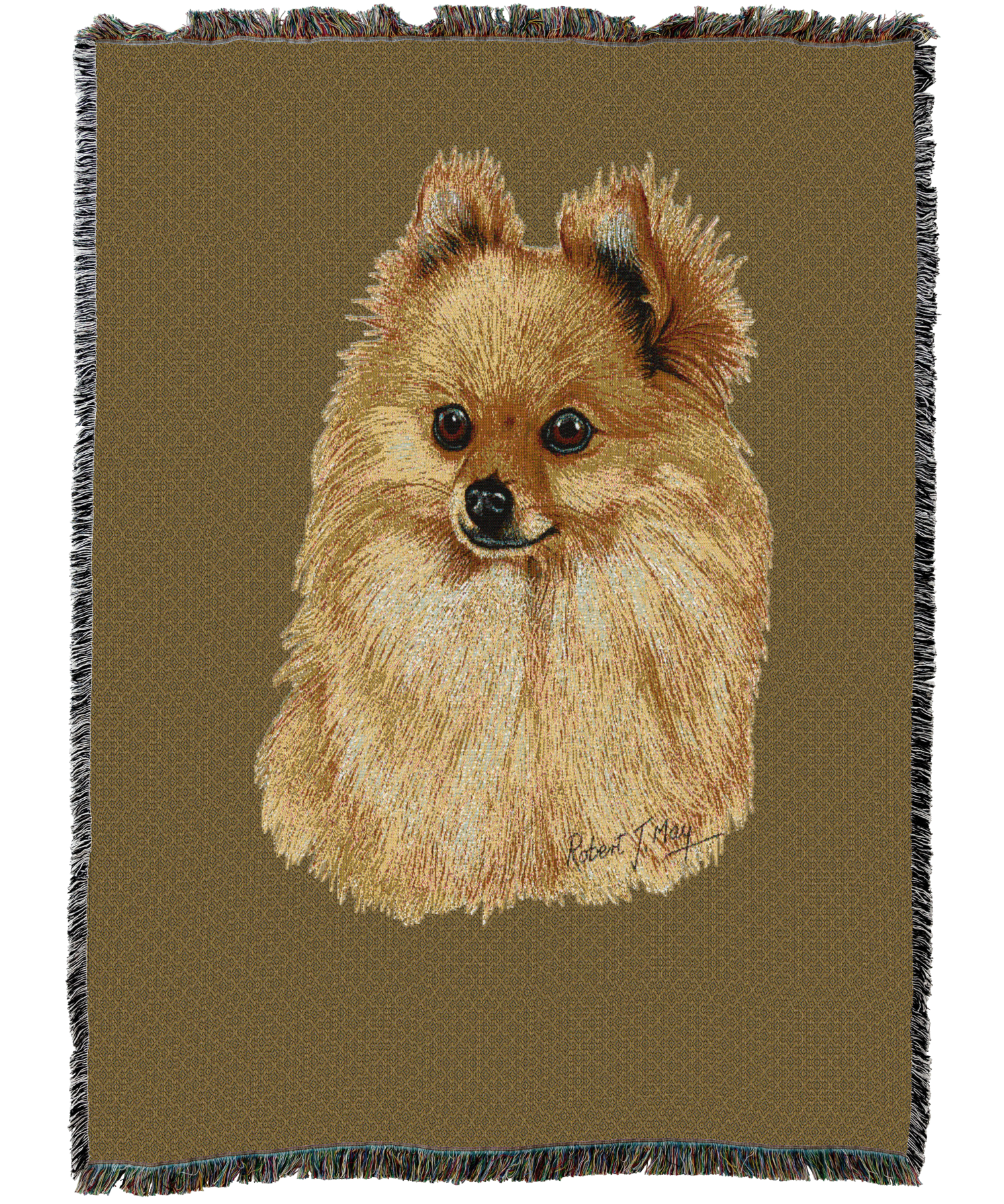 Pomeranian Blanket Sand