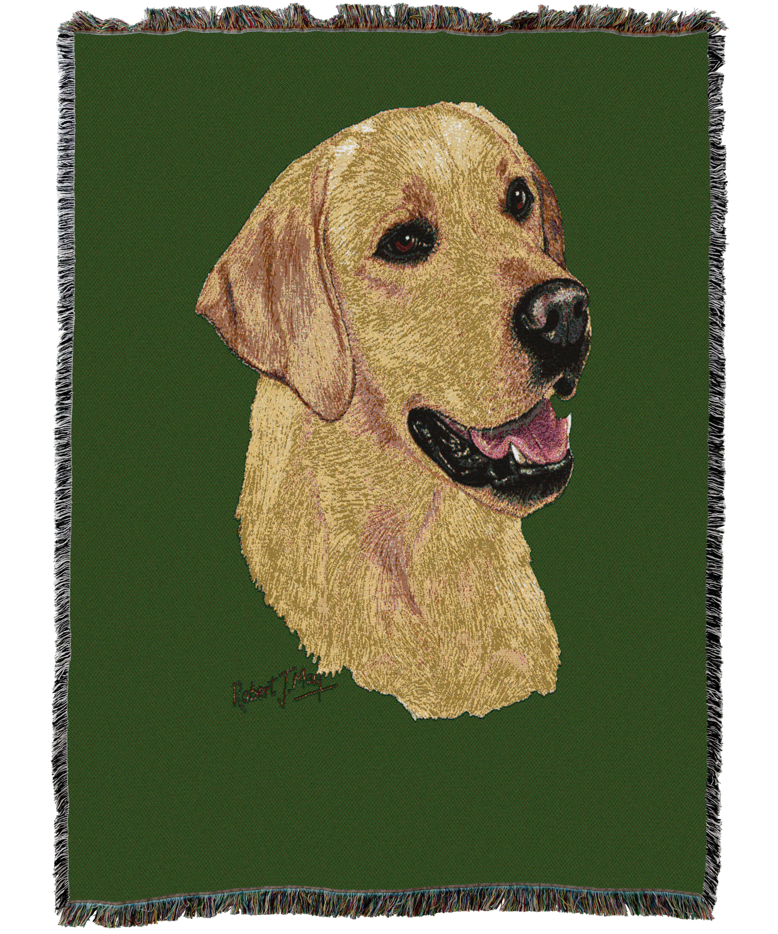 Labrador Retriever Yellow Blanket