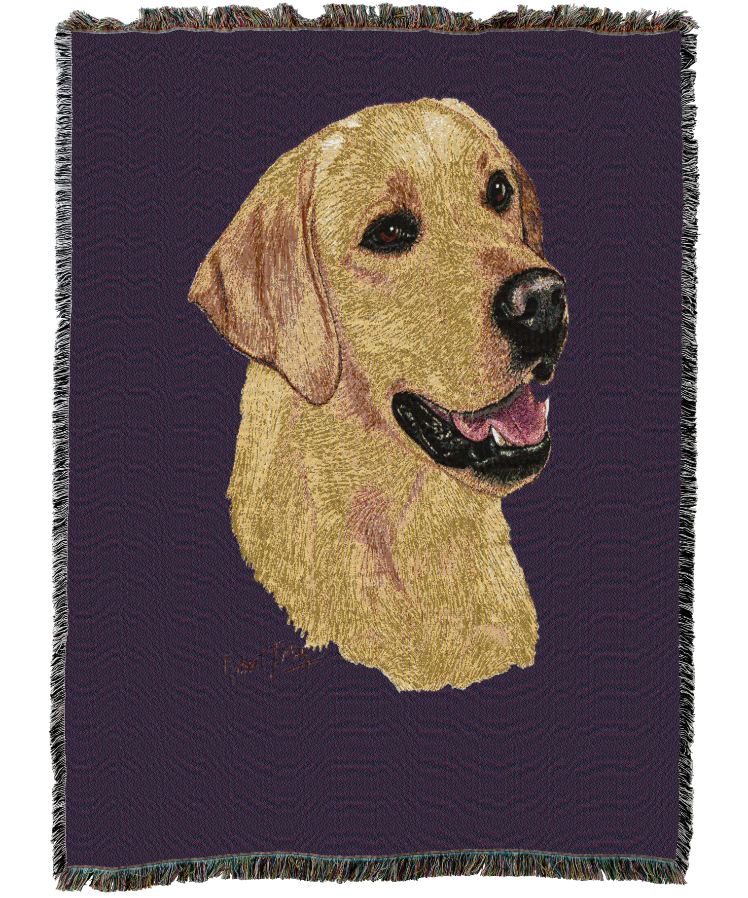 Labrador Retriever Yellow Blanket