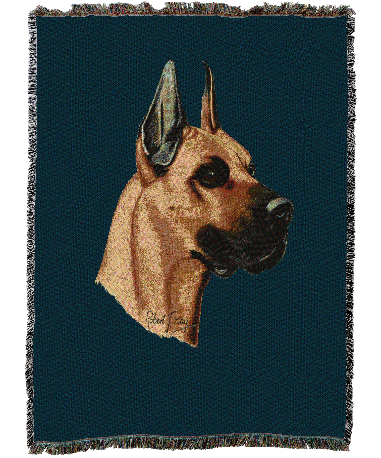 1156C-T.png