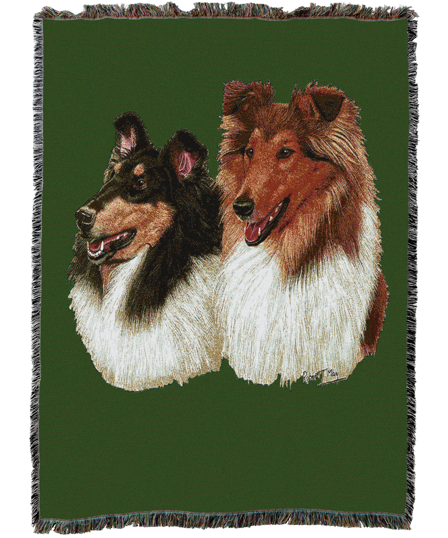 Collie Blanket