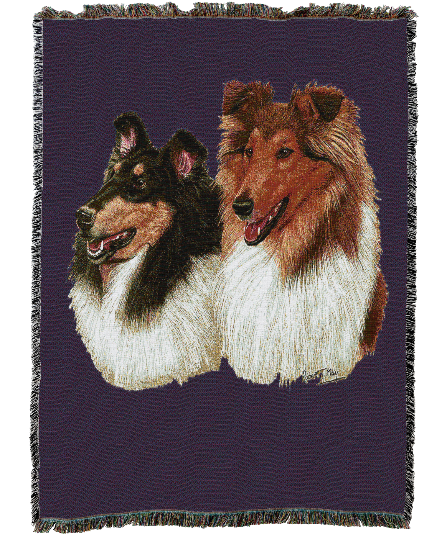 Collie Blanket