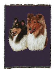 Collie Blanket