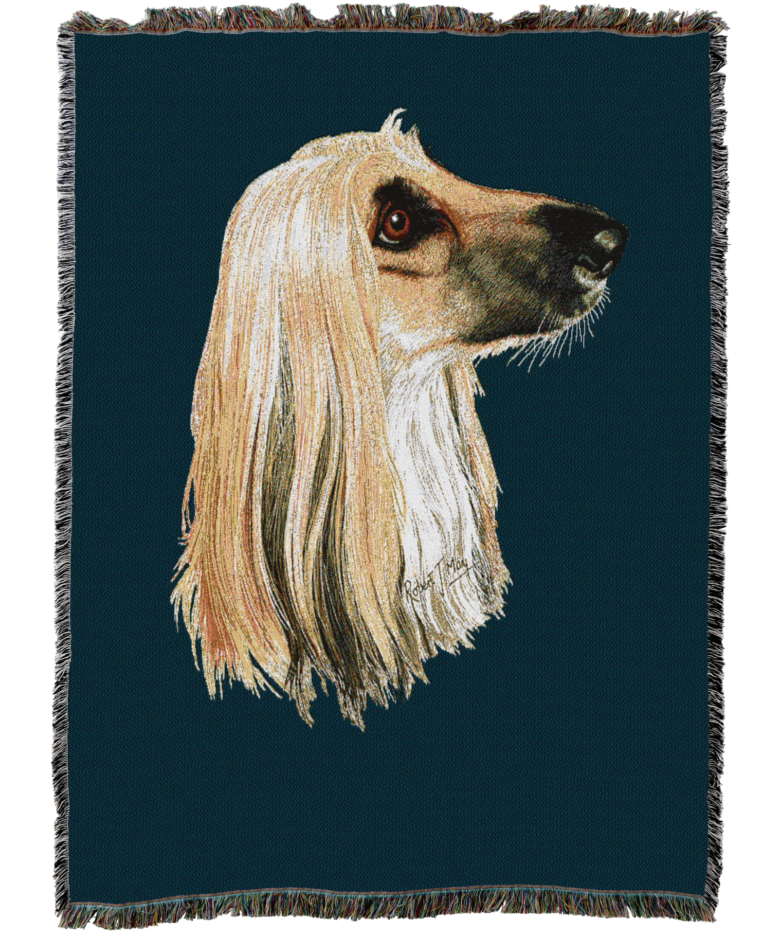 1170C-T_0e500179-cbe6-4da2-8dff-cb518ae4adbf.png