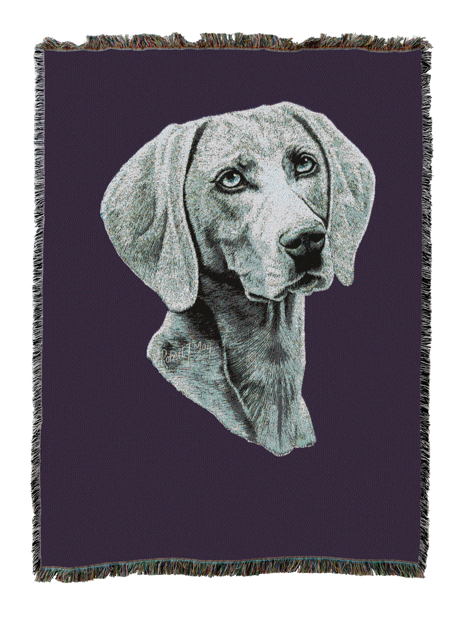 Weimaraner Blanket Purple