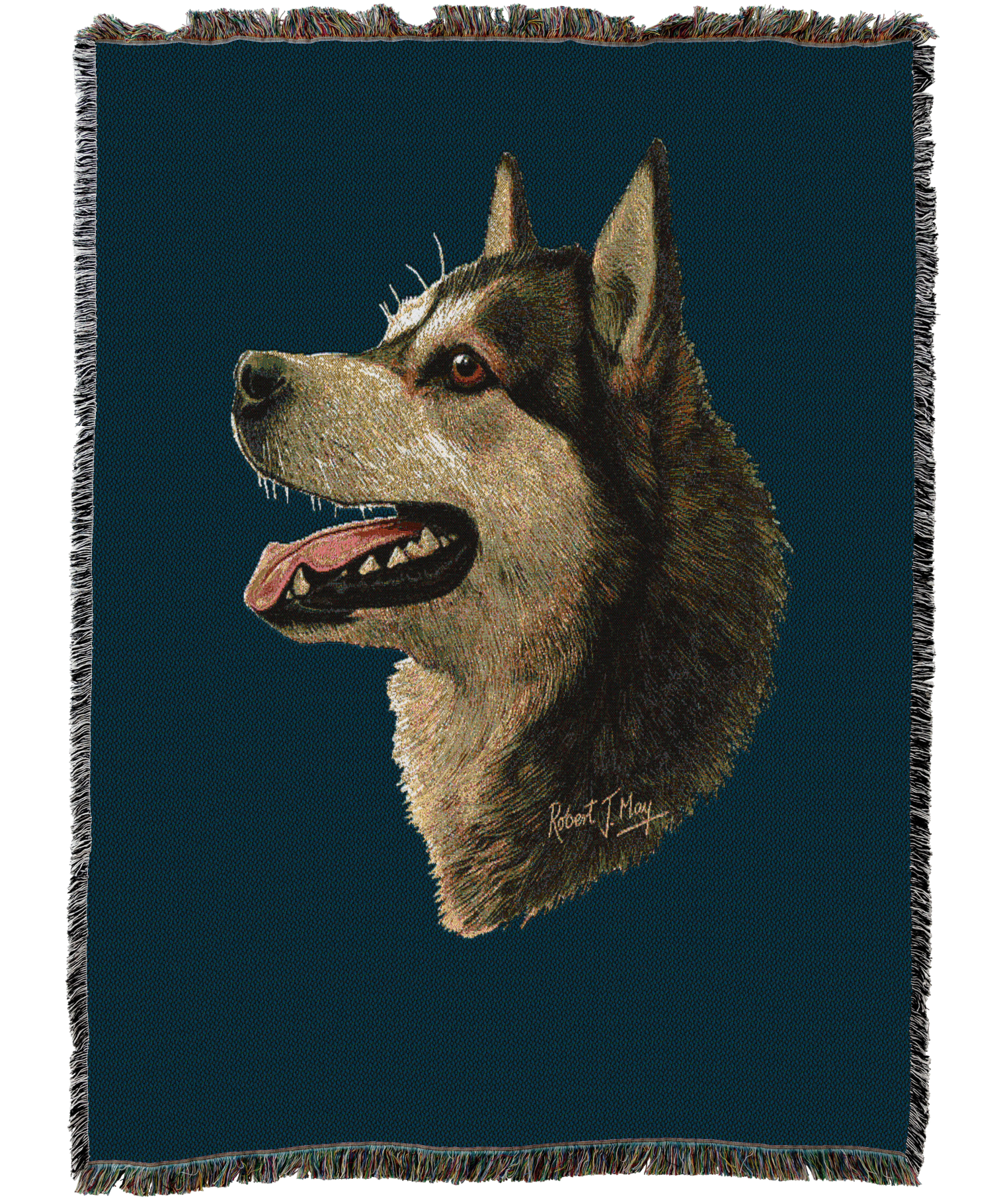 1178C-T_26cbb1ee-6b7e-4f0d-817e-ac07ab5d2869.png