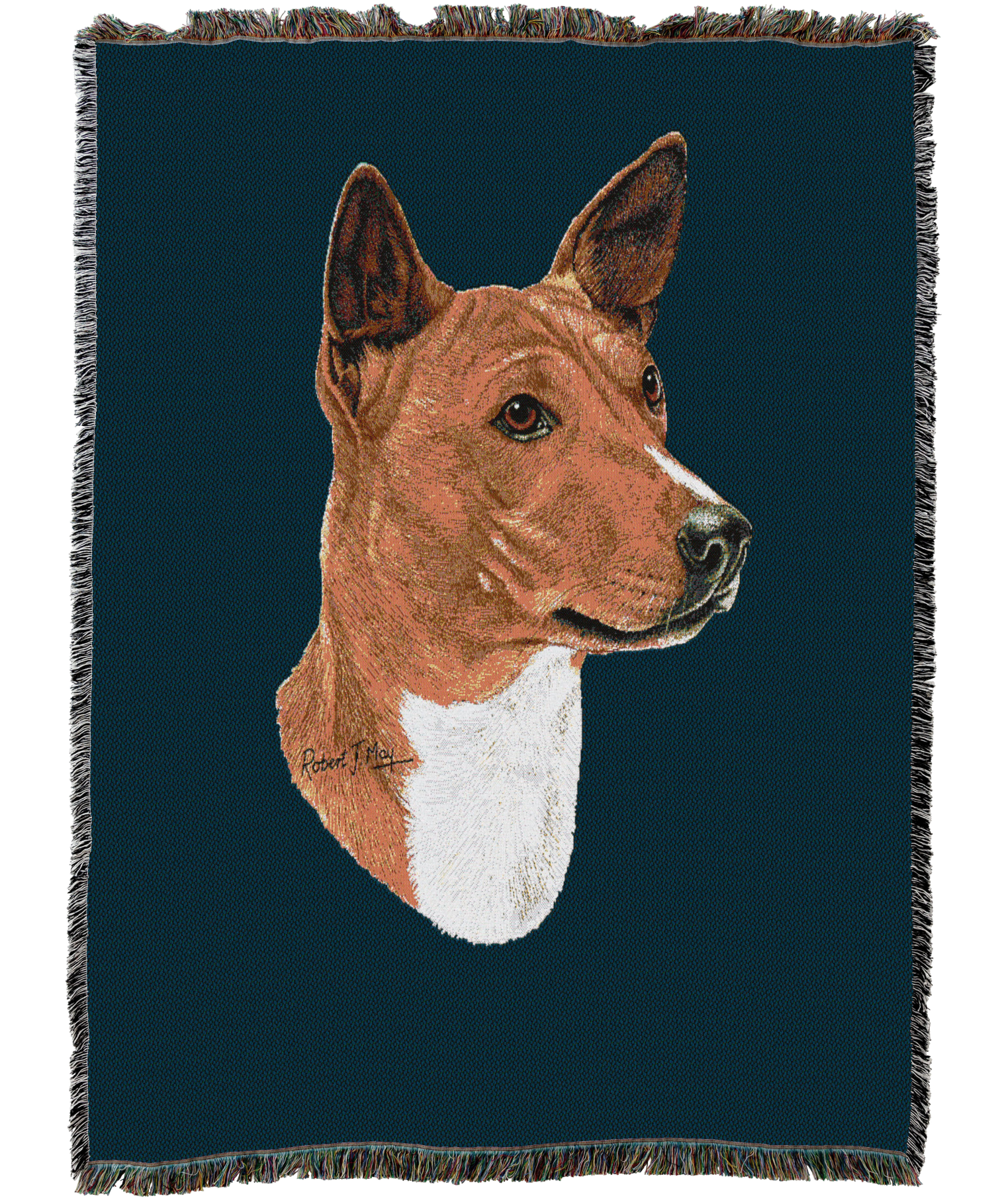 1184C-T_c606b5f6-8770-40fa-a0b7-bd09005ec98d.png