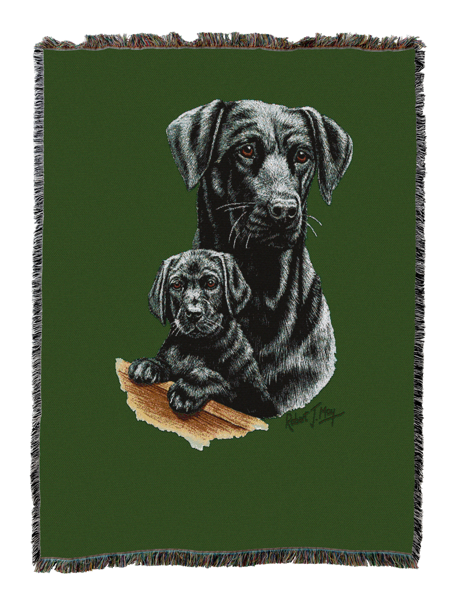 Labrador Retriever With Puppy Black Blanket