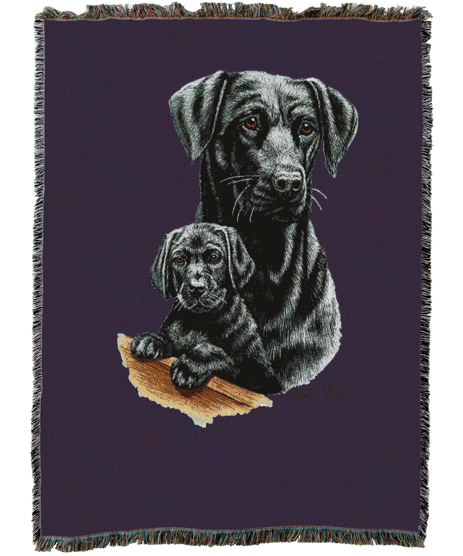 Labrador Retriever With Puppy Black Blanket