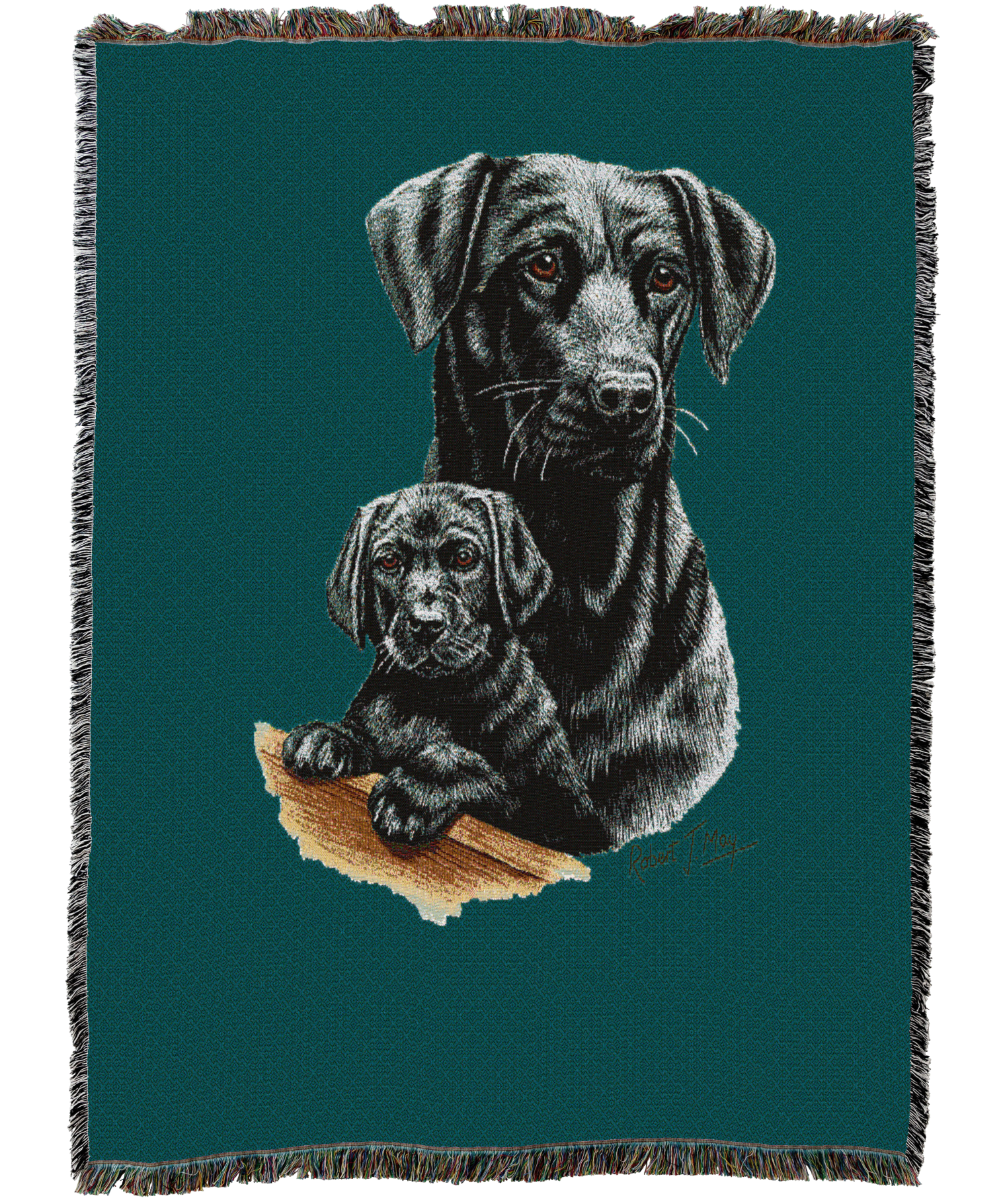 Labrador Retriever With Puppy Black Blanket