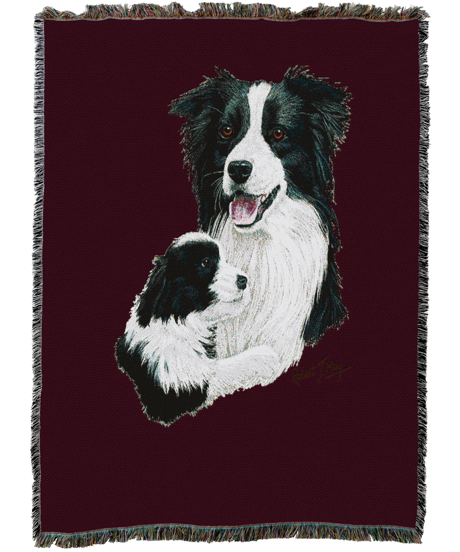 Border Collie With Puppy Blanket