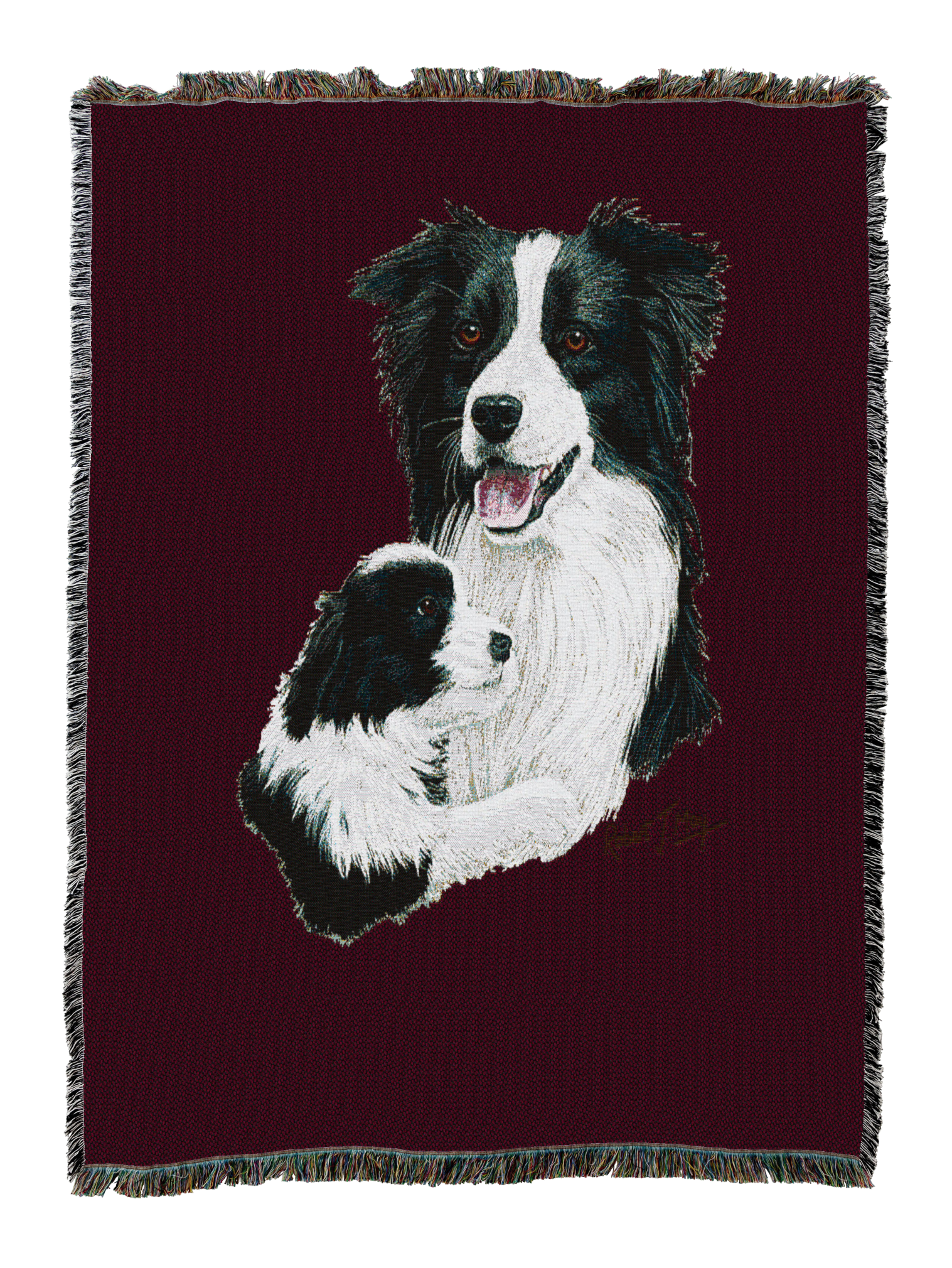 Border Collie With Puppy Blanket