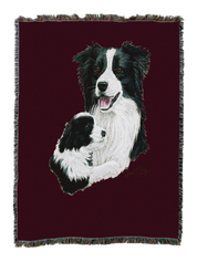 Border Collie With Puppy Blanket