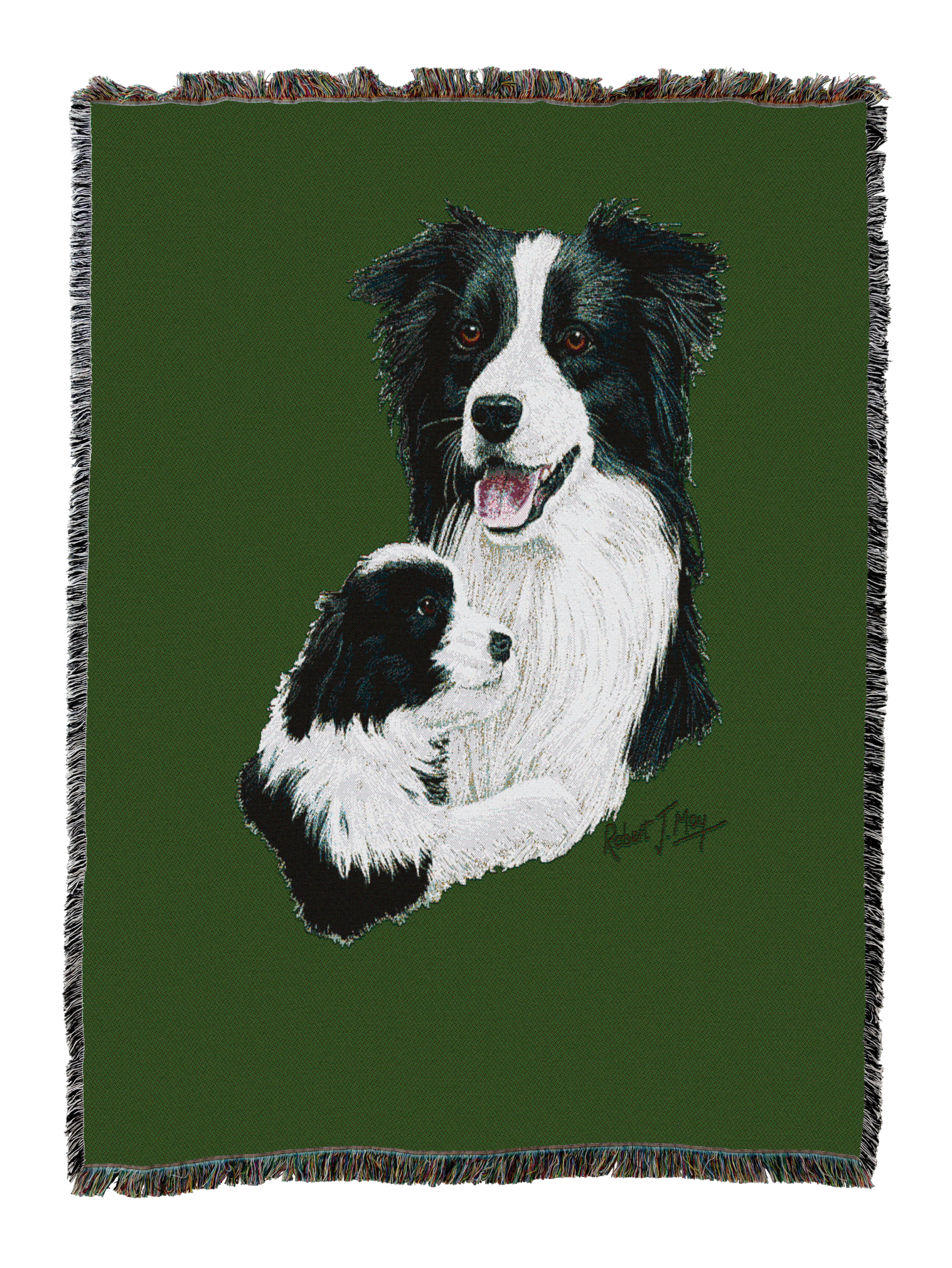 Border Collie With Puppy Blanket