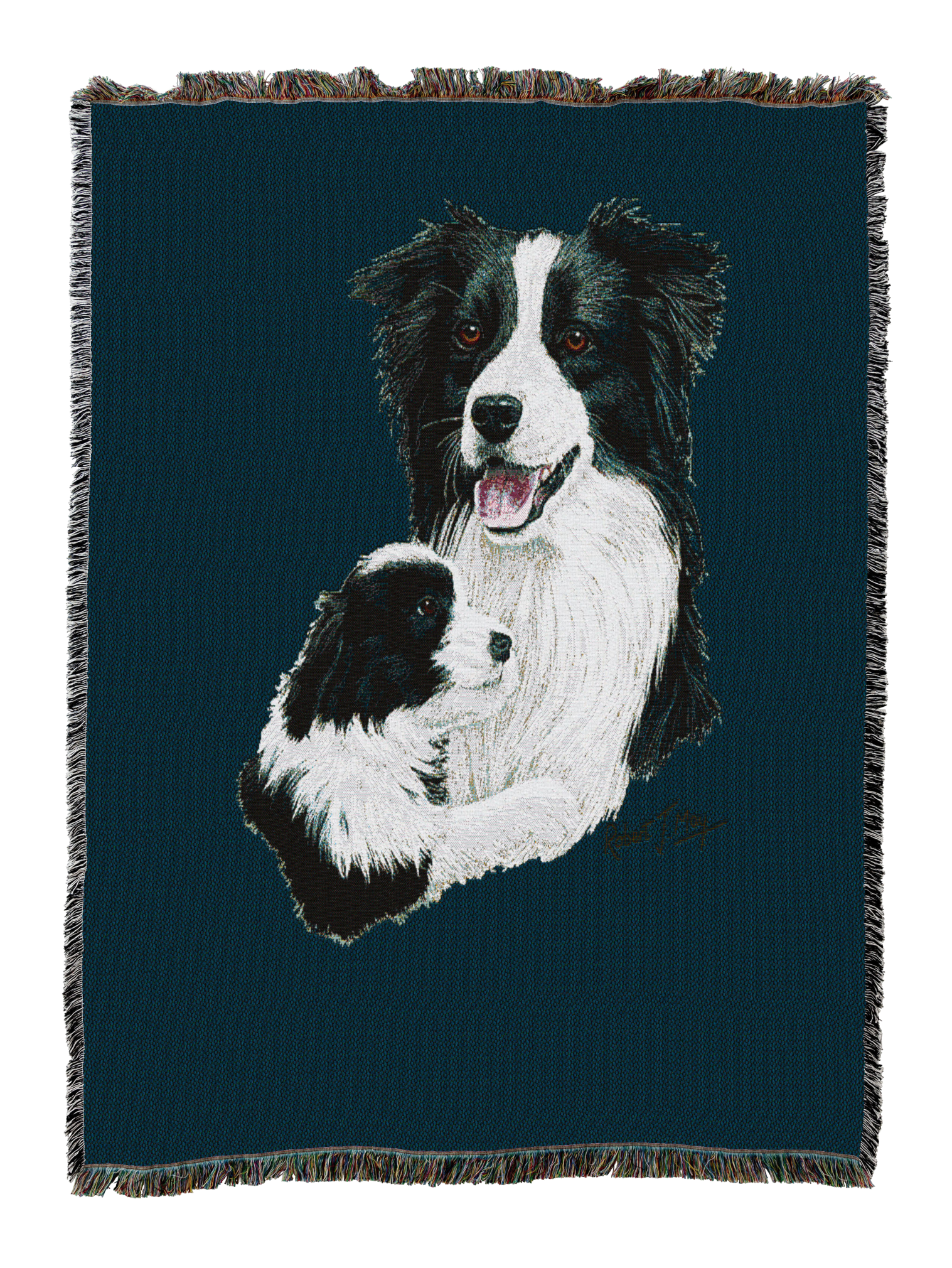 Border Collie With Puppy Blanket