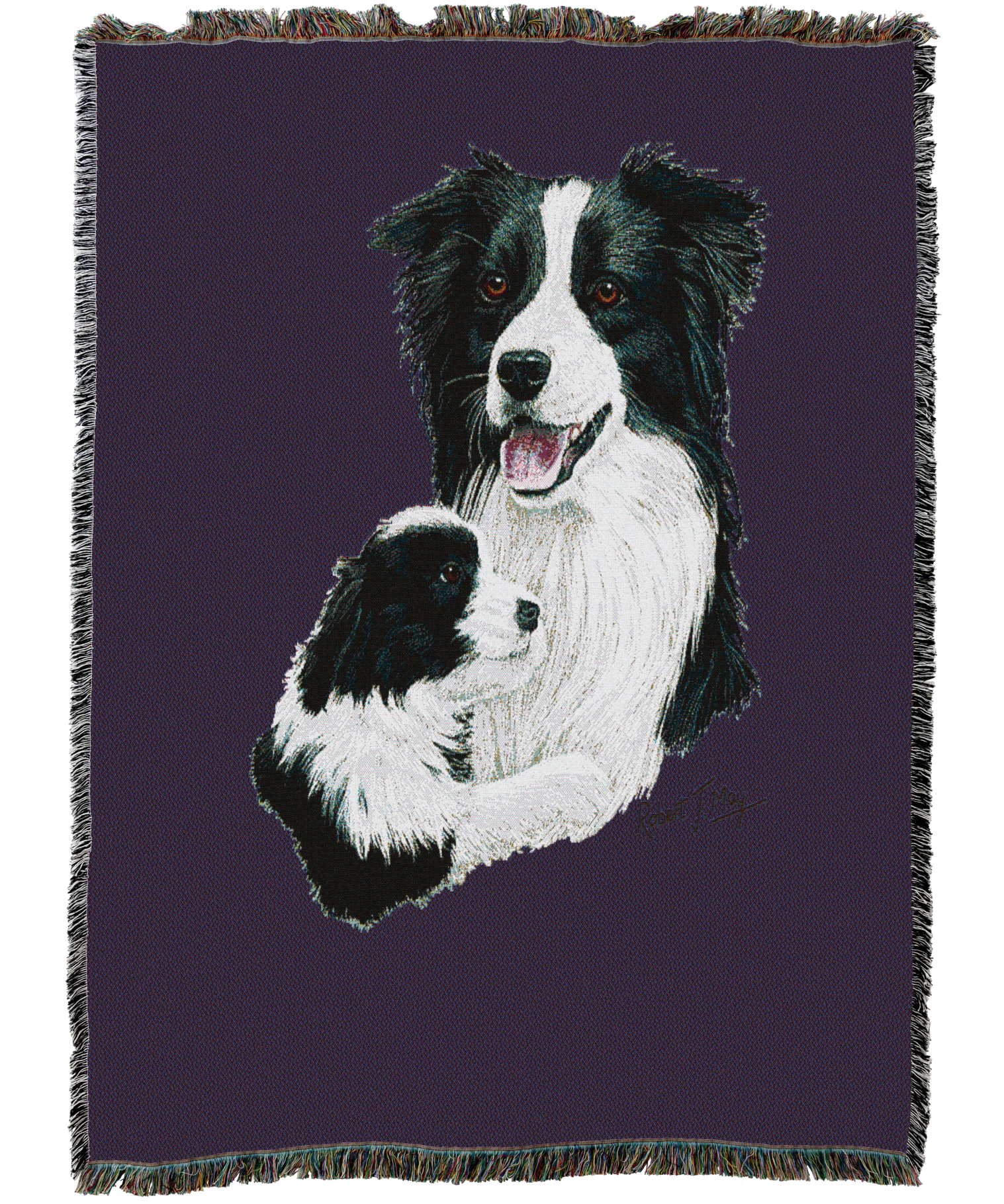 Border Collie With Puppy Blanket