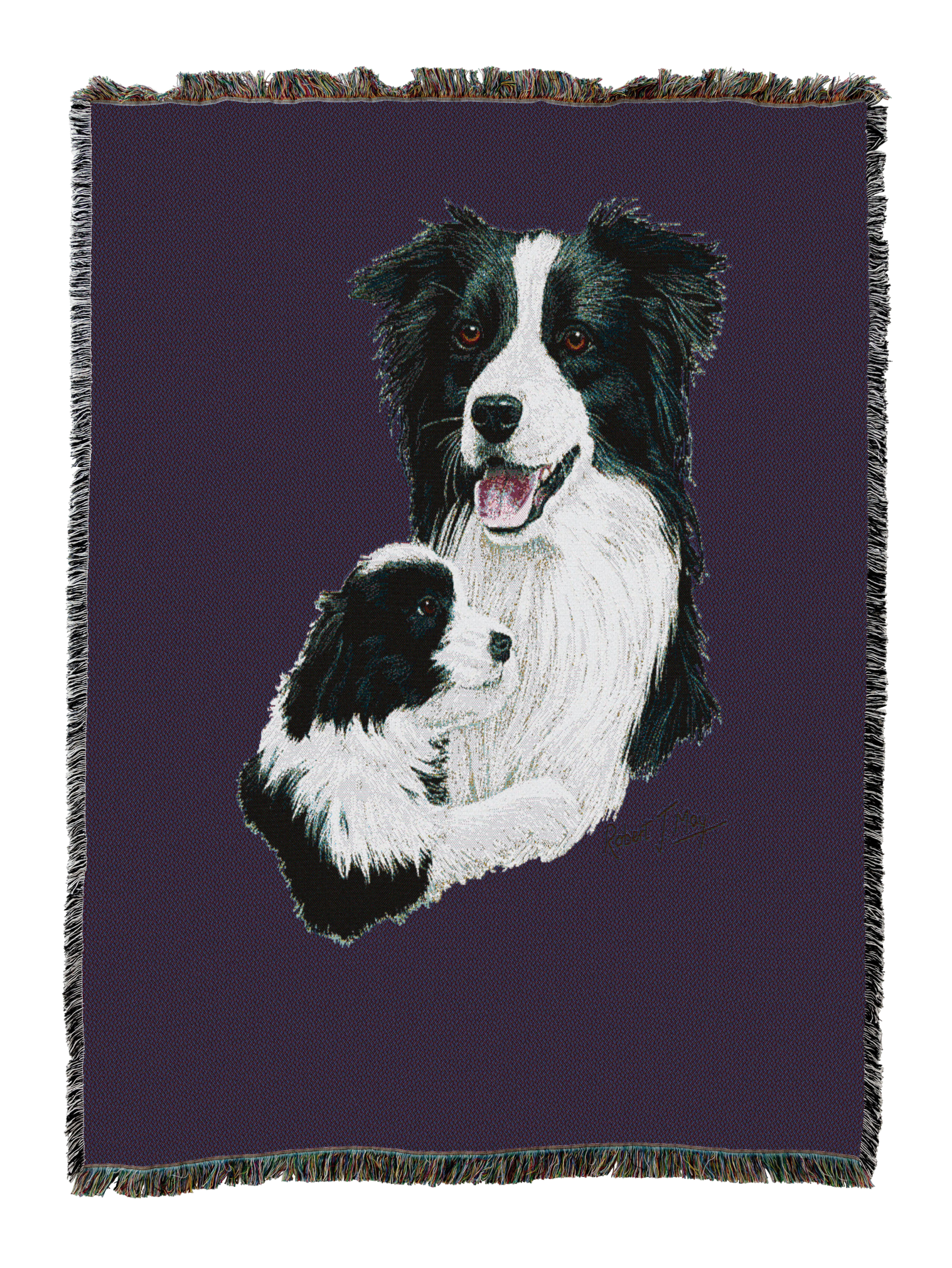 Border Collie With Puppy Blanket