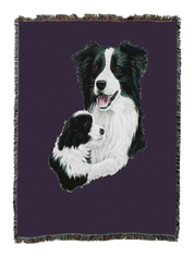 Border Collie With Puppy Blanket