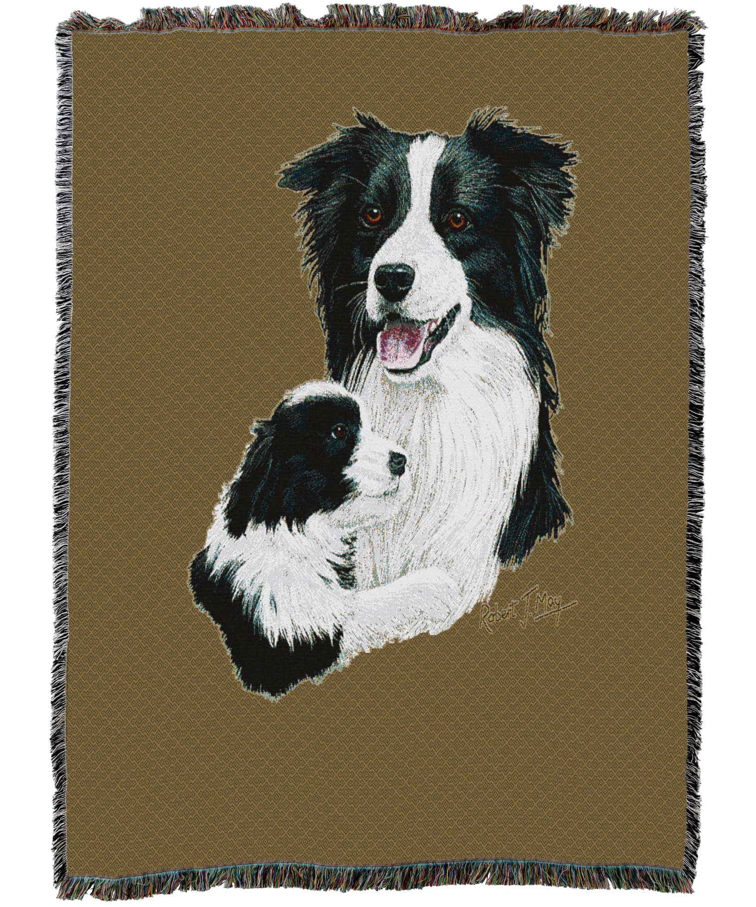 Border Collie With Puppy Blanket