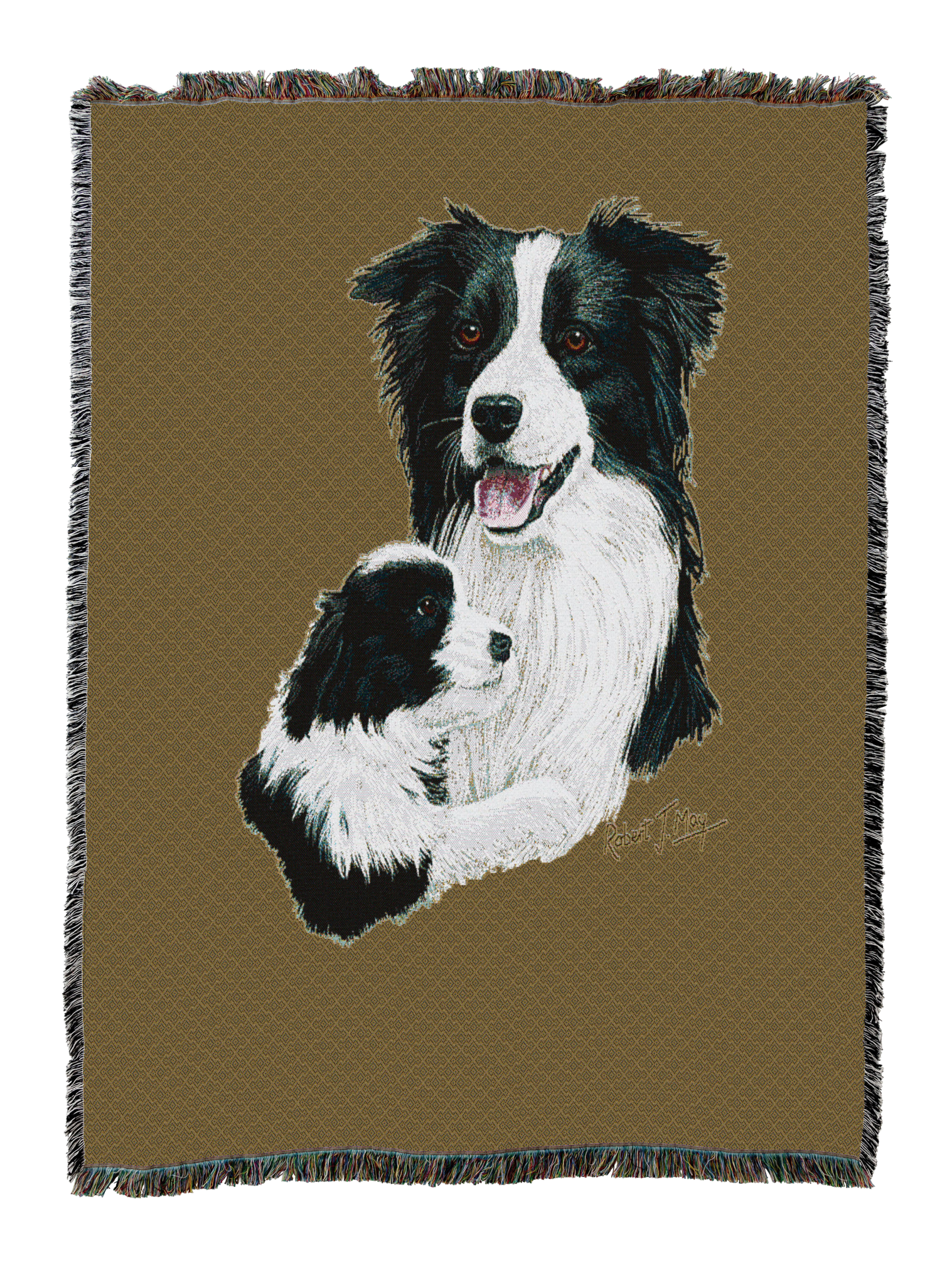 Border Collie With Puppy Blanket