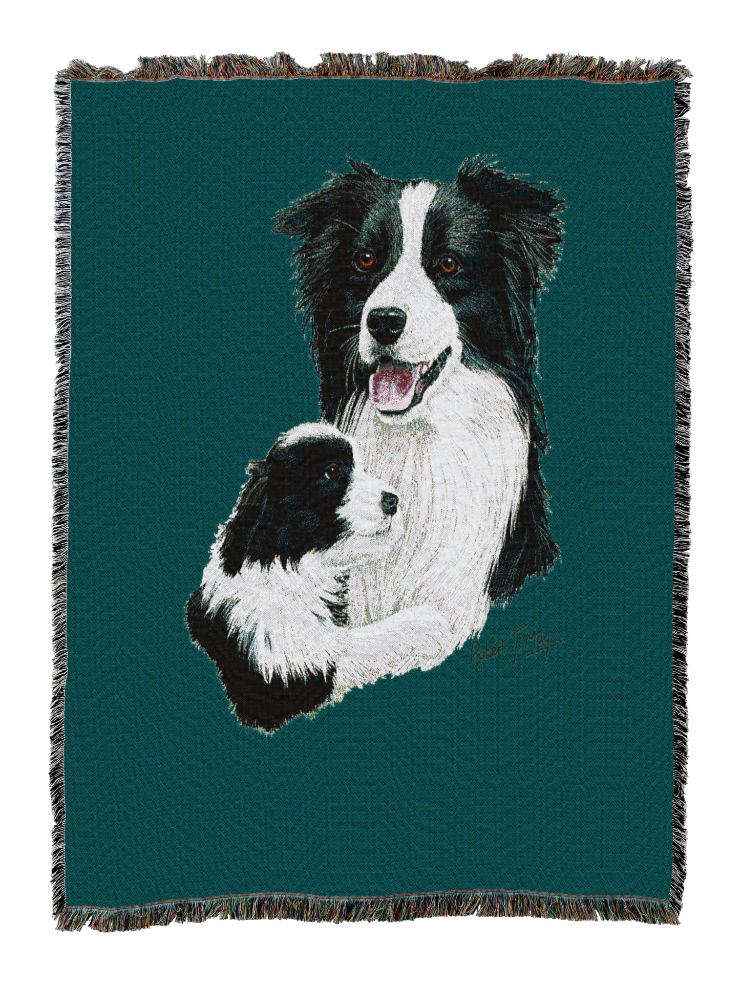 Border Collie With Puppy Blanket