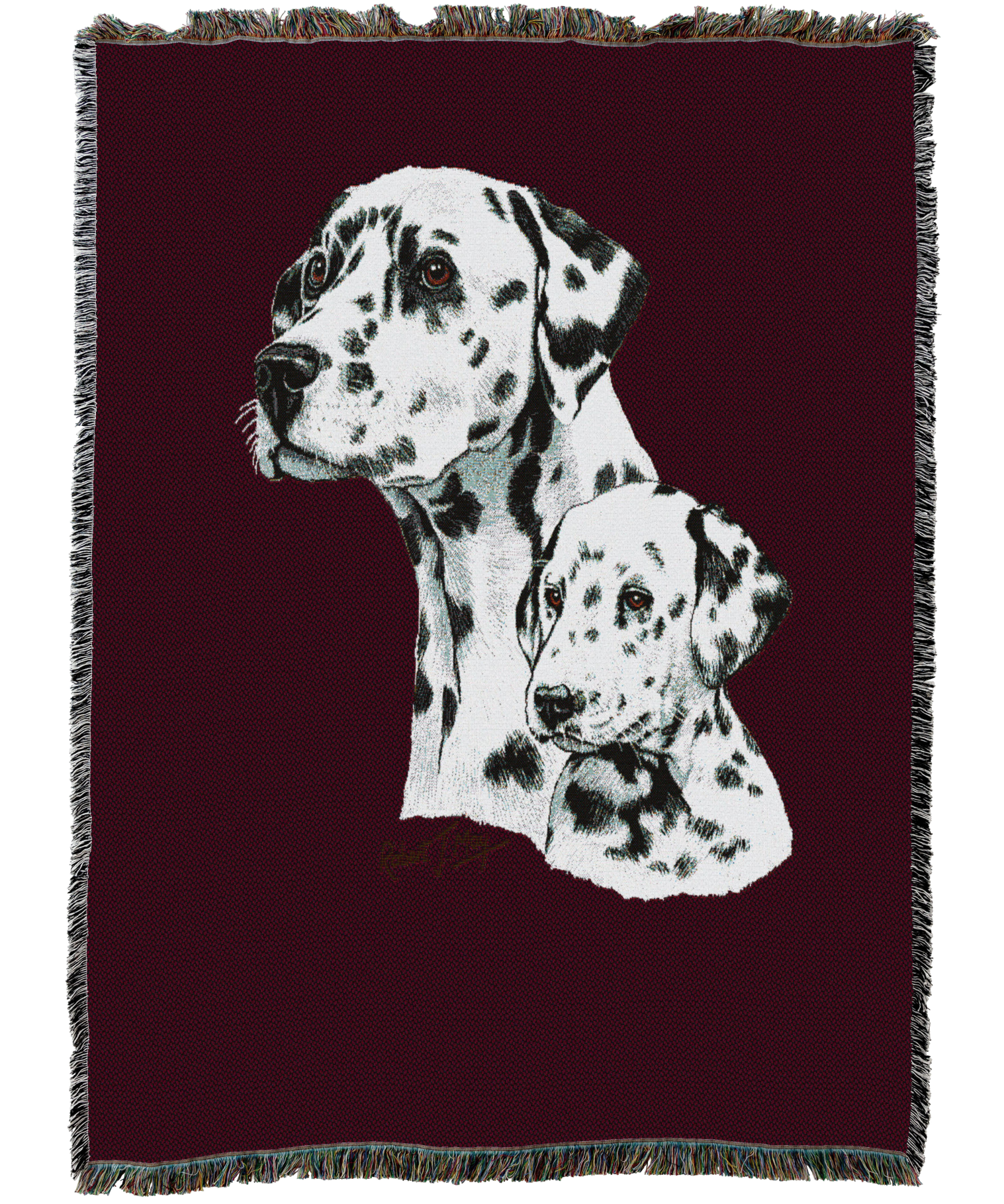 Dalmatian With Puppy Blanket