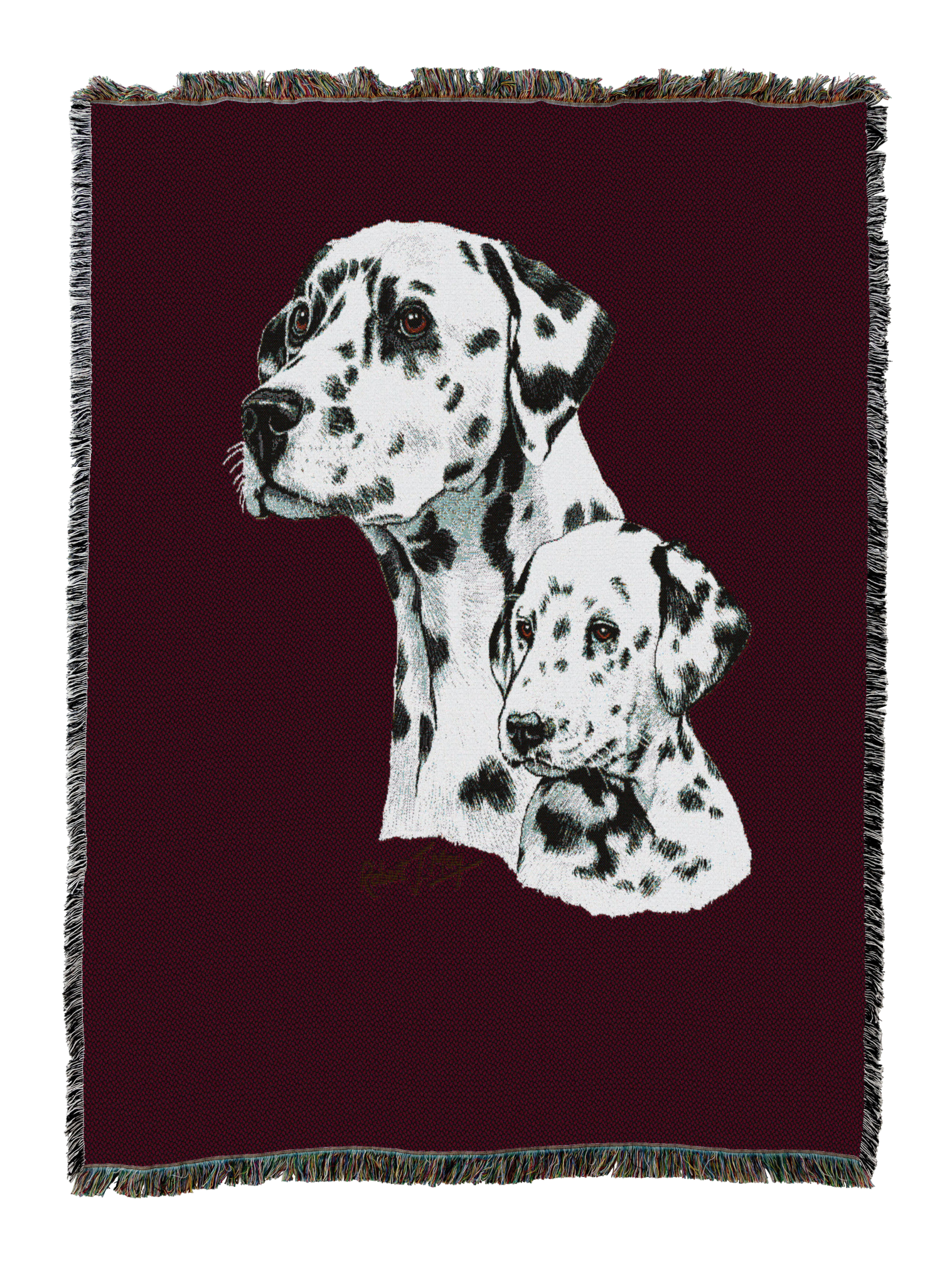 Dalmatian With Puppy Blanket