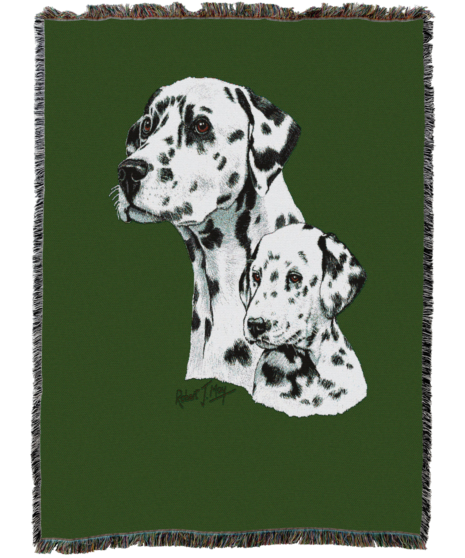 Dalmatian With Puppy Blanket
