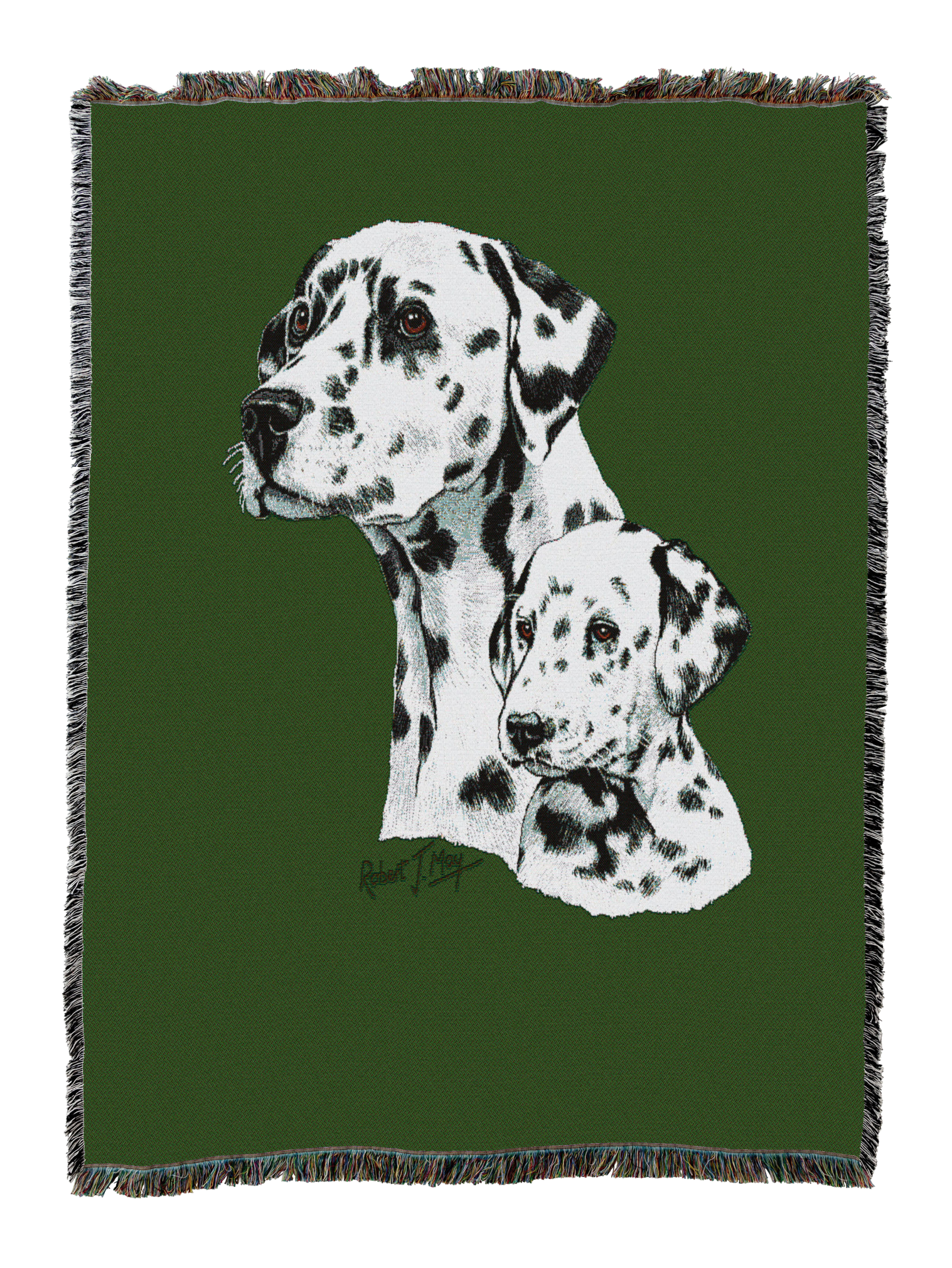 Dalmatian With Puppy Blanket