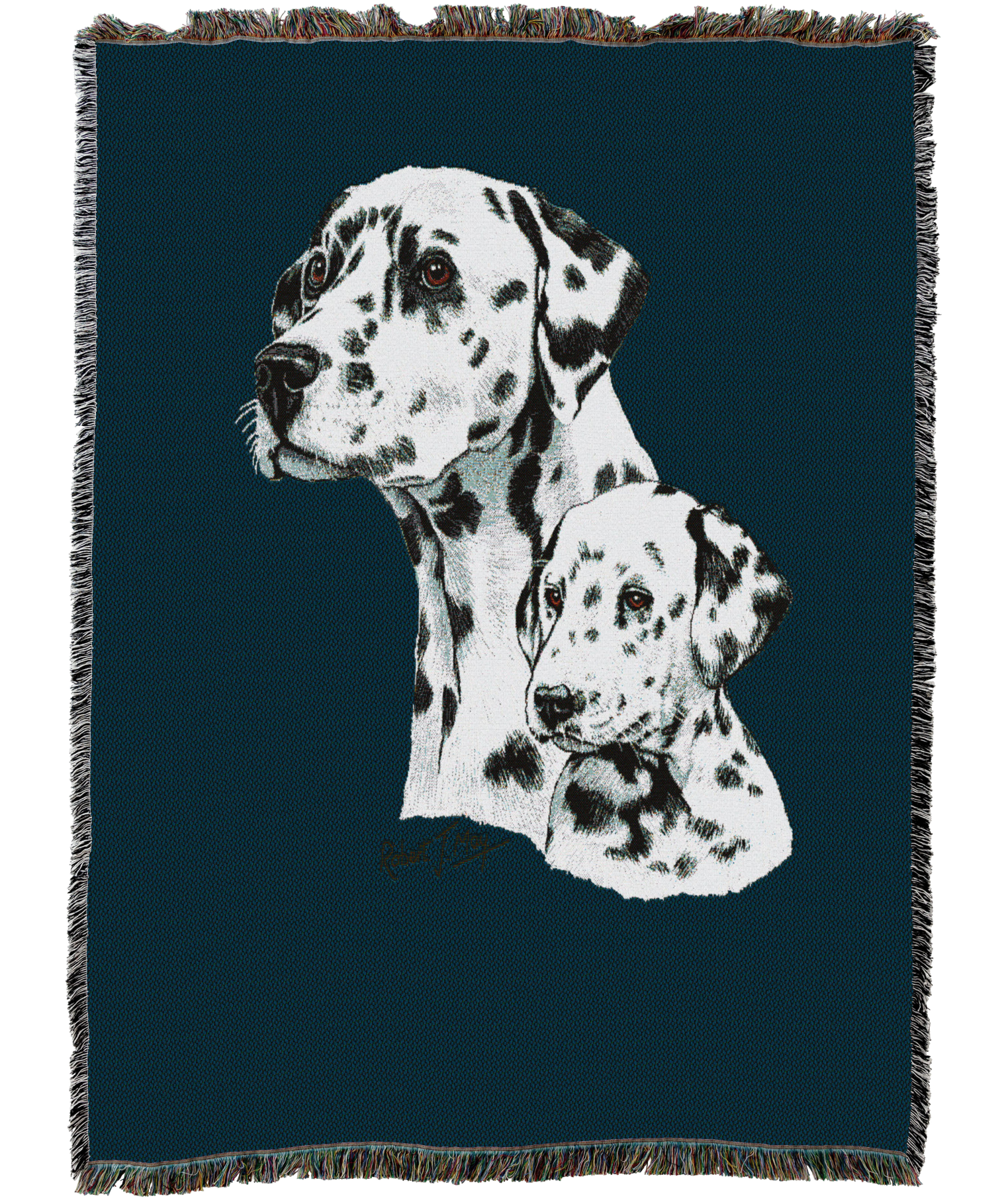 1206C-T_0580a64f-117d-498f-9d4f-44442360187a.png