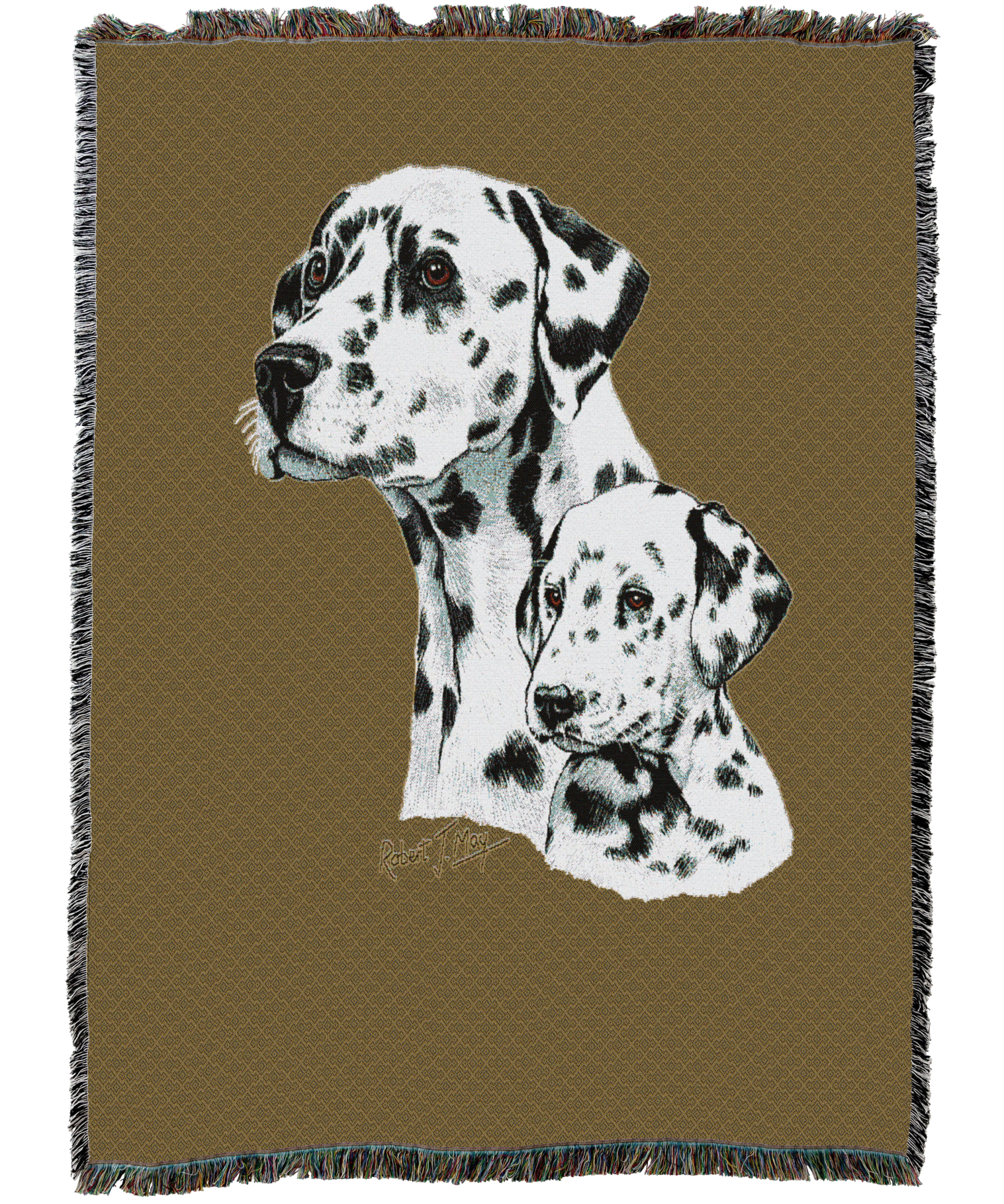 Dalmatian With Puppy Blanket