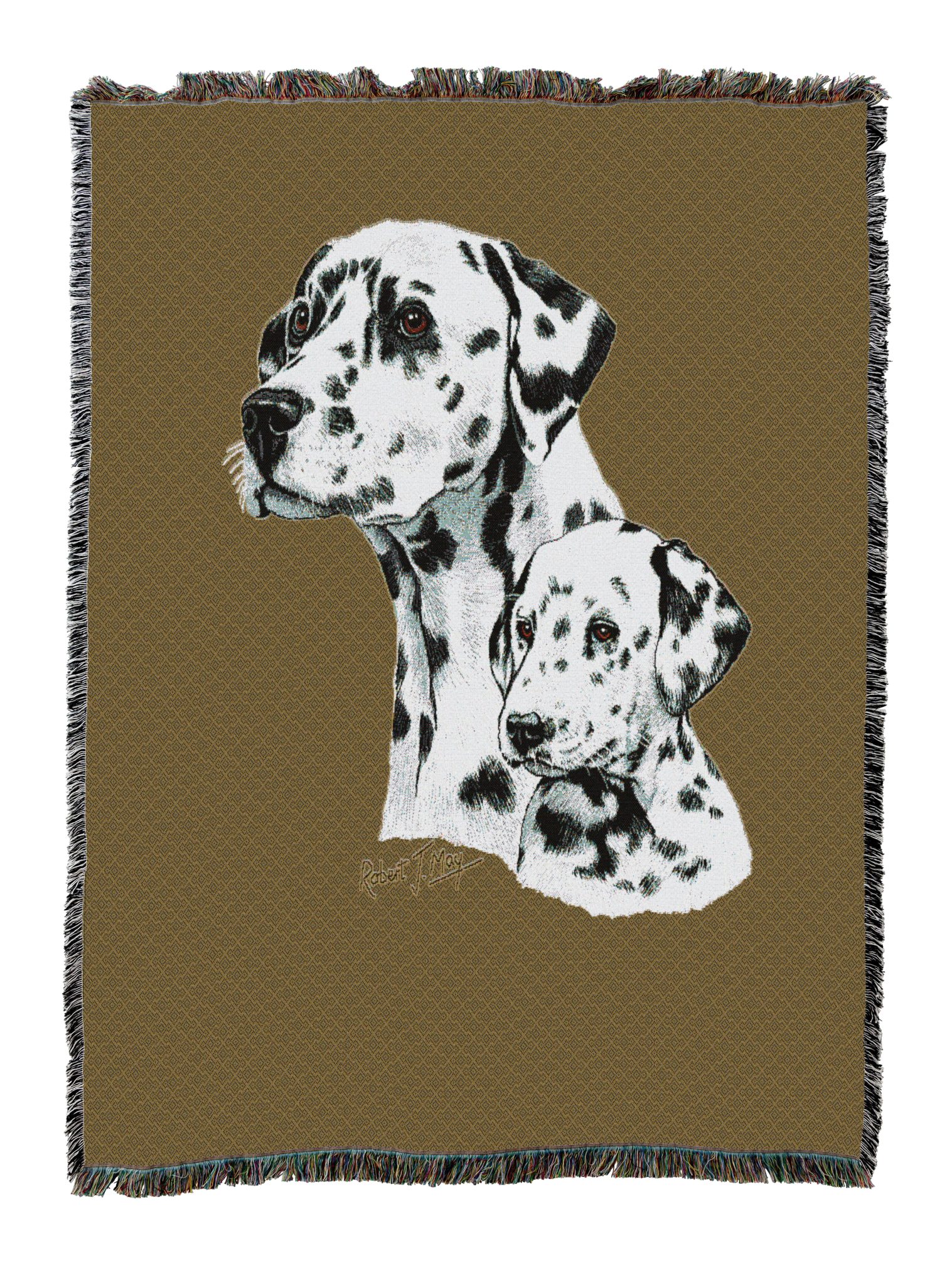 Dalmatian With Puppy Blanket