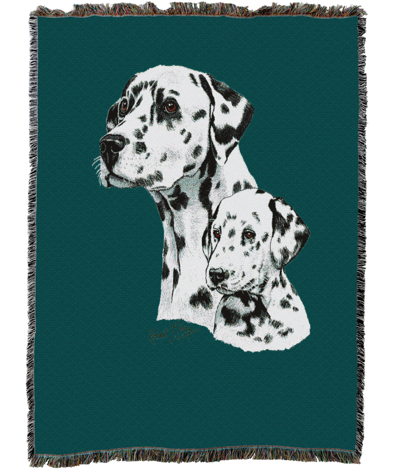 Dalmatian With Puppy Blanket