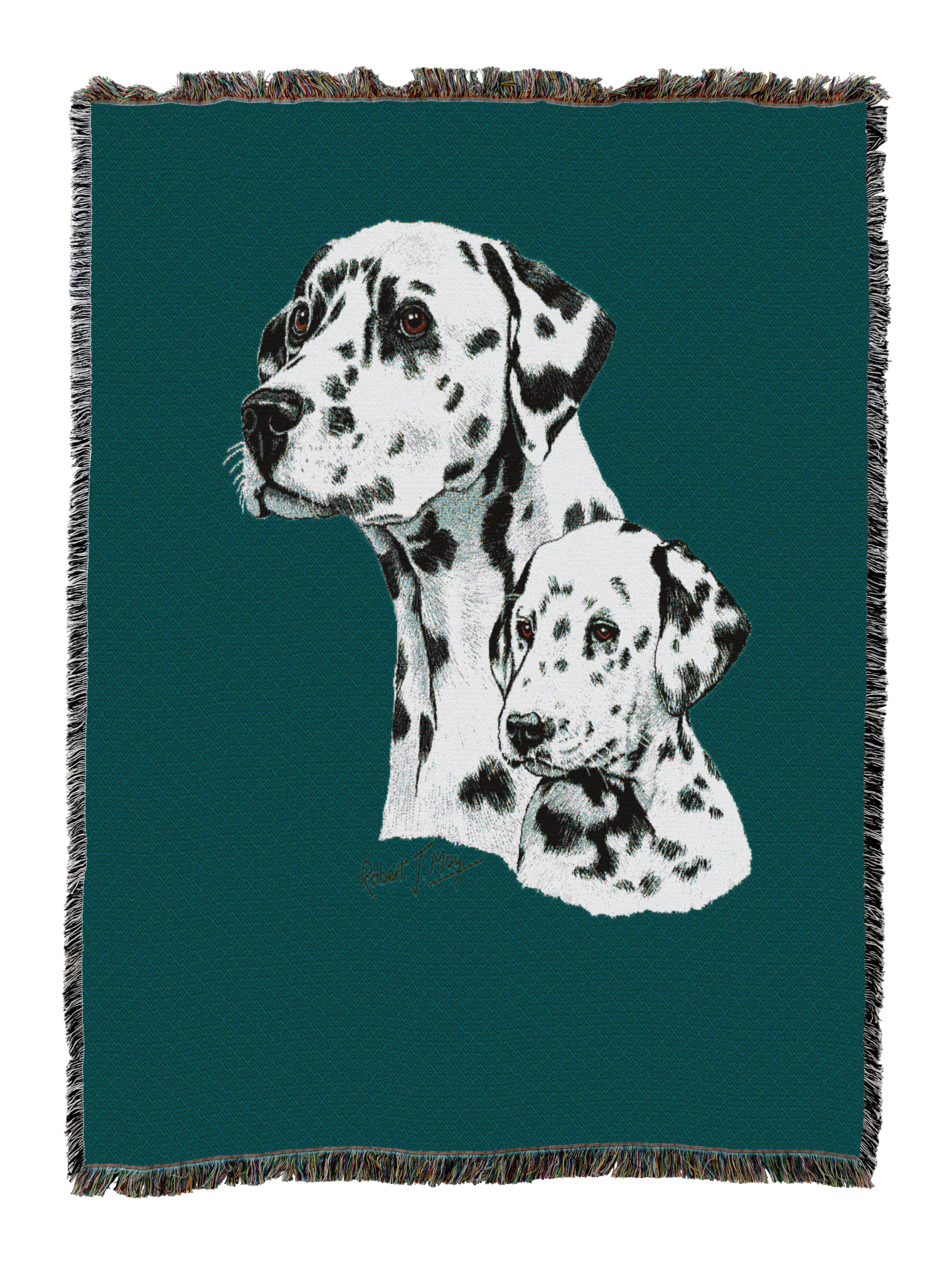 Dalmatian With Puppy Blanket