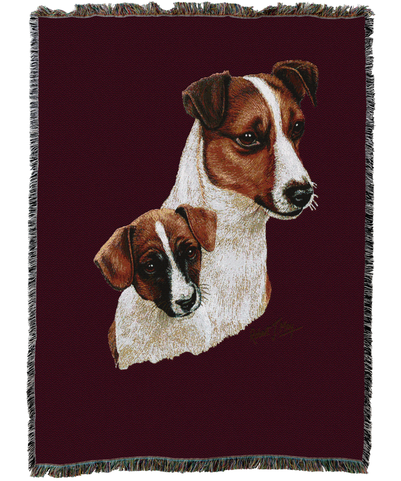 Jack Russell Terrier With Puppy Blanket