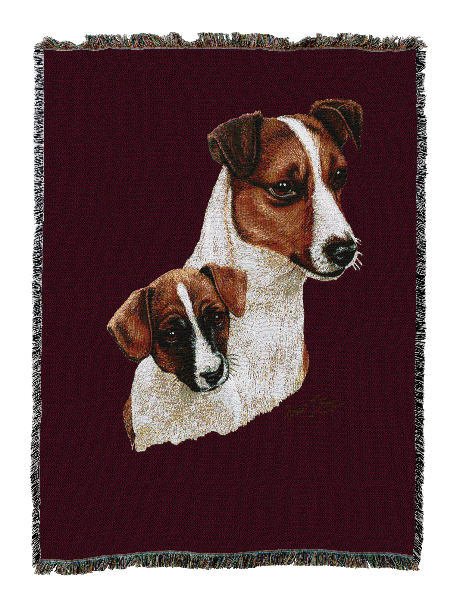 Jack Russell Terrier With Puppy Blanket