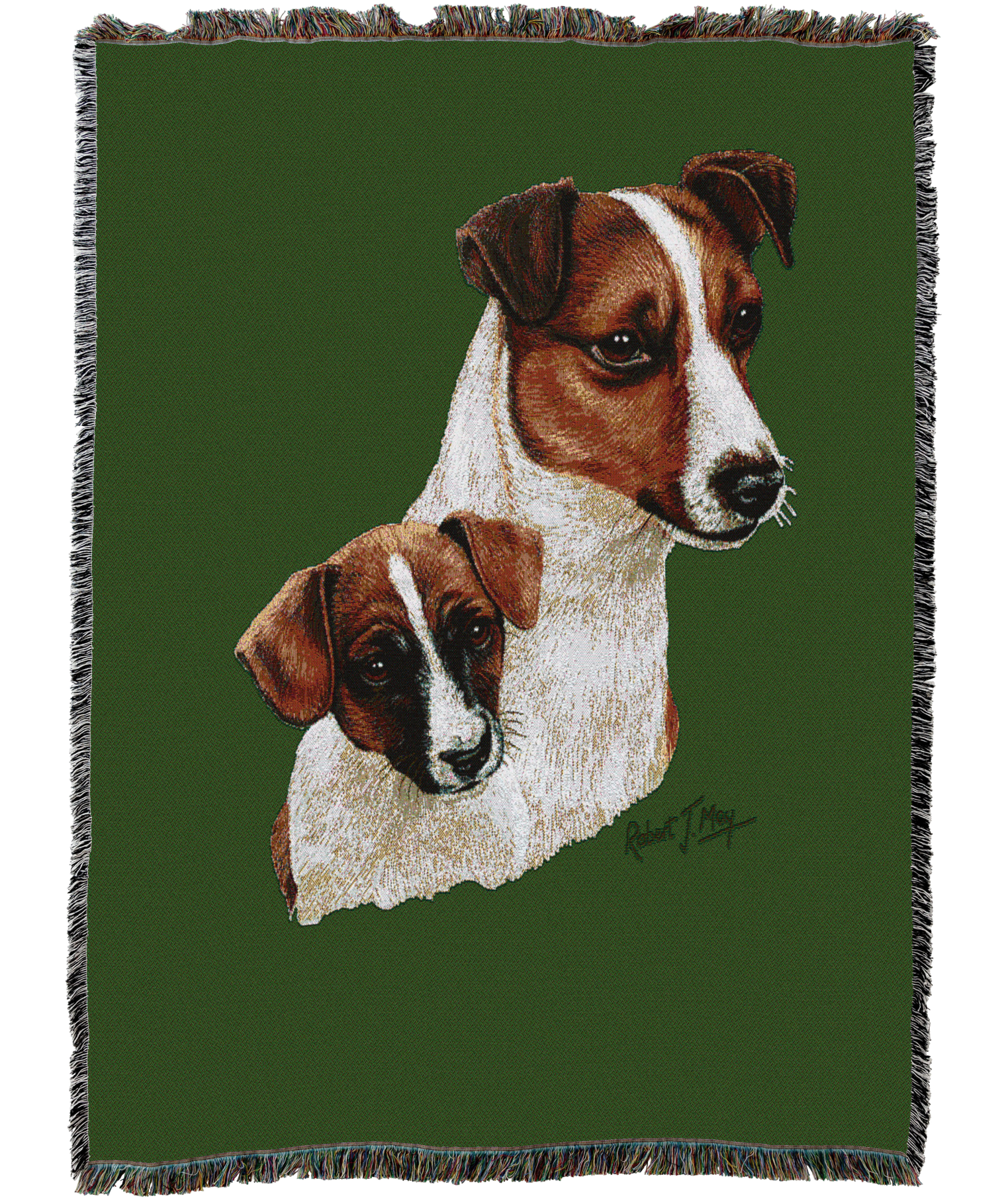 Jack Russell Terrier With Puppy Blanket