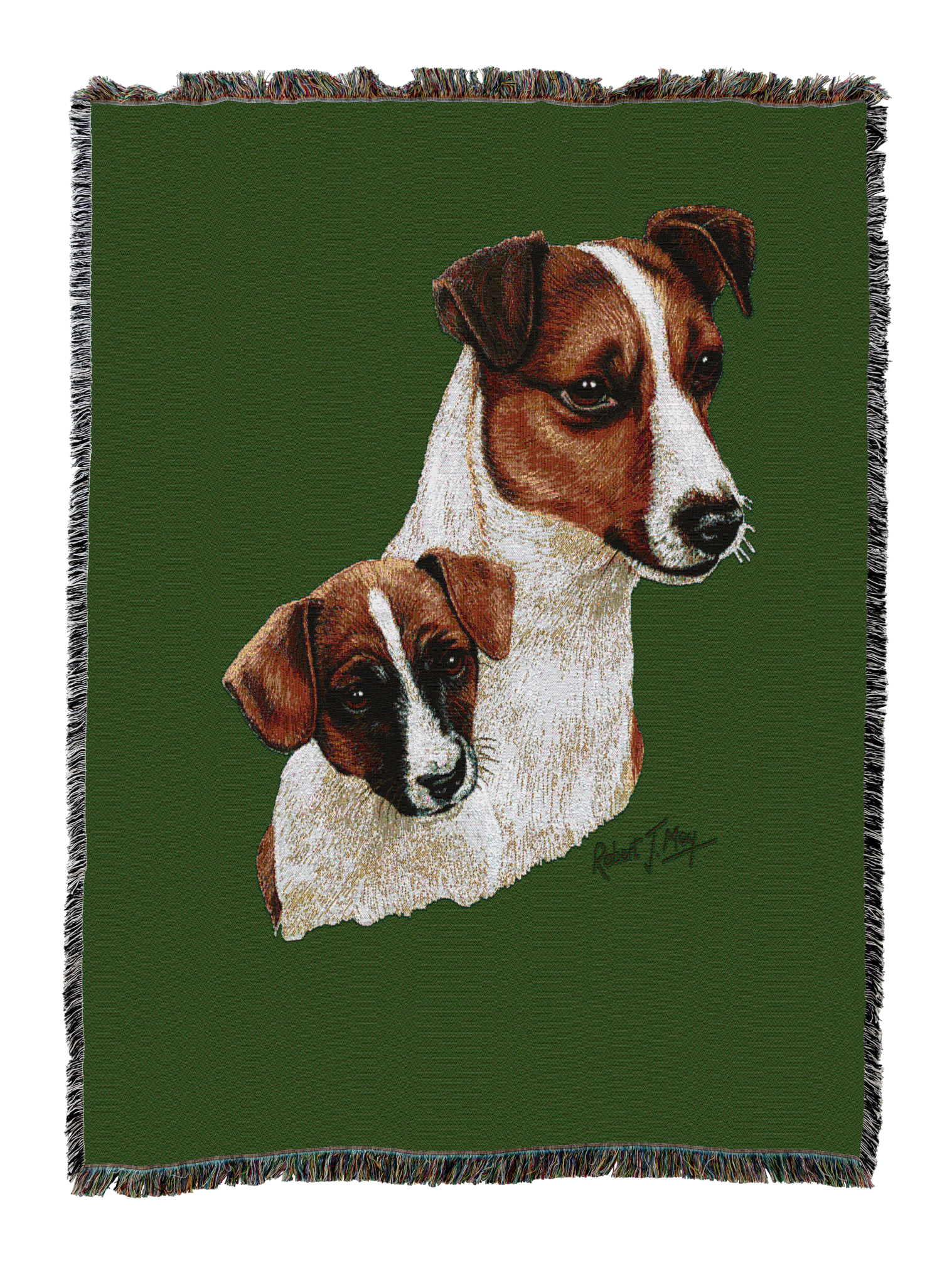Jack Russell Terrier With Puppy Blanket