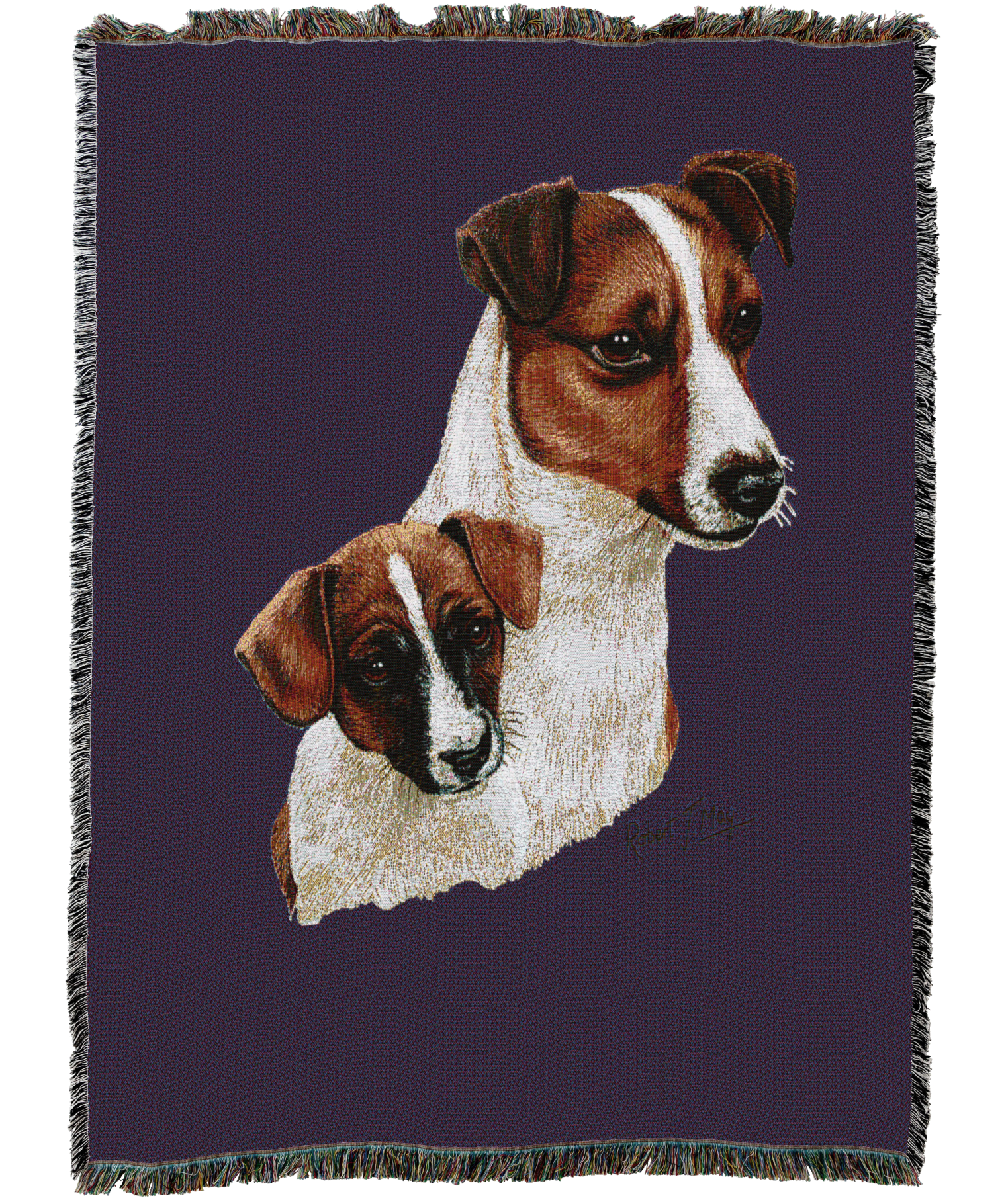 Jack Russell Terrier With Puppy Blanket