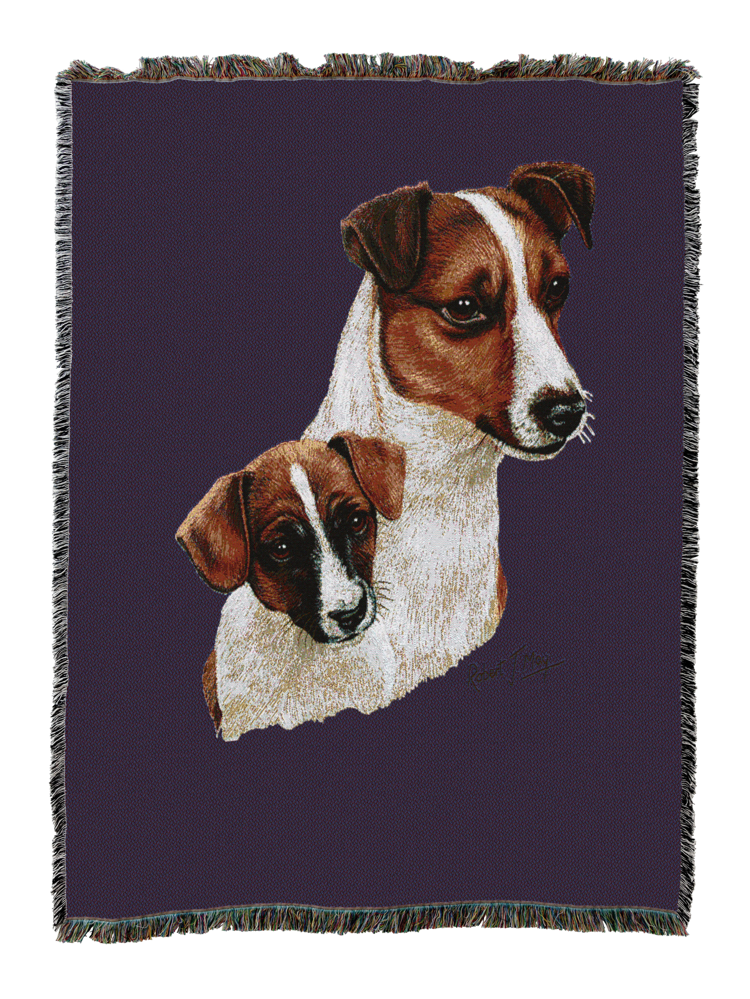 Jack Russell Terrier With Puppy Blanket