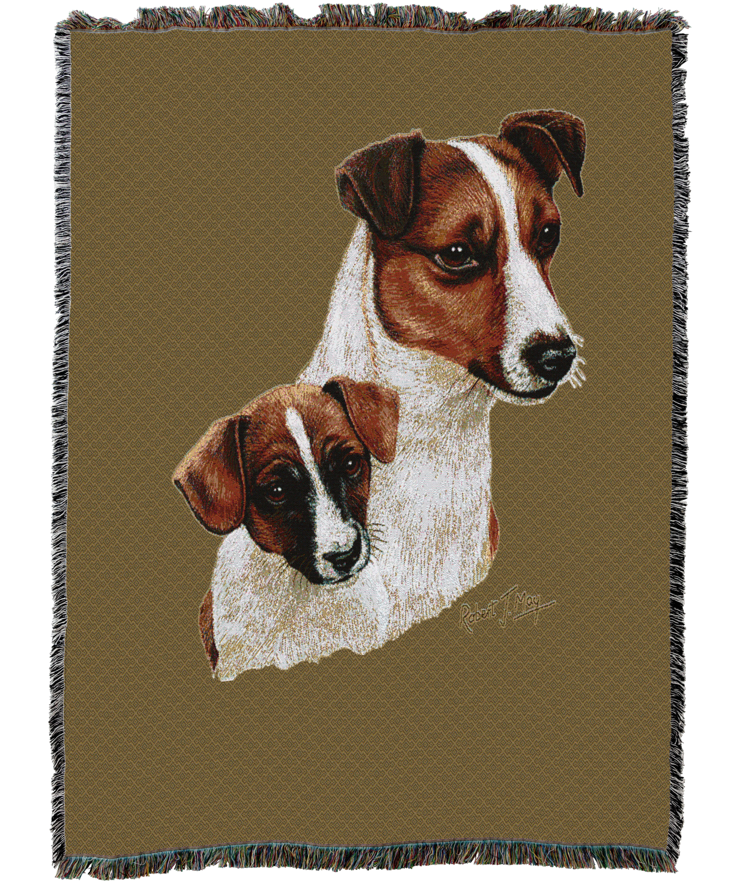 Jack Russell Terrier With Puppy Blanket