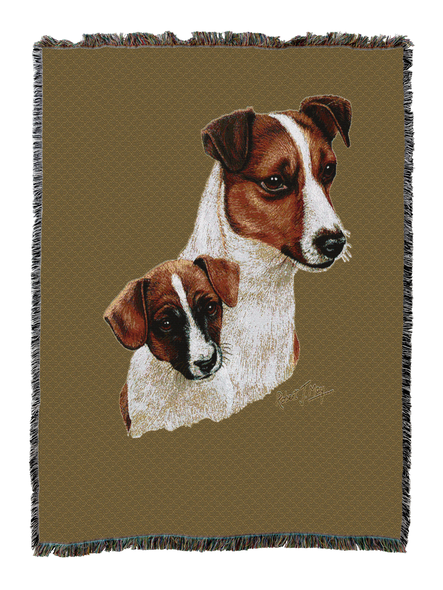 Jack Russell Terrier With Puppy Blanket